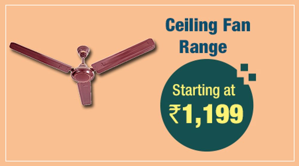 Ceiling Fans