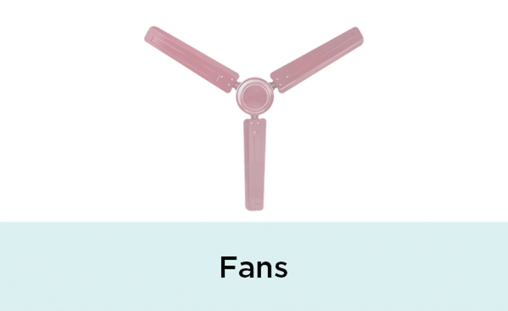 Fans Fans