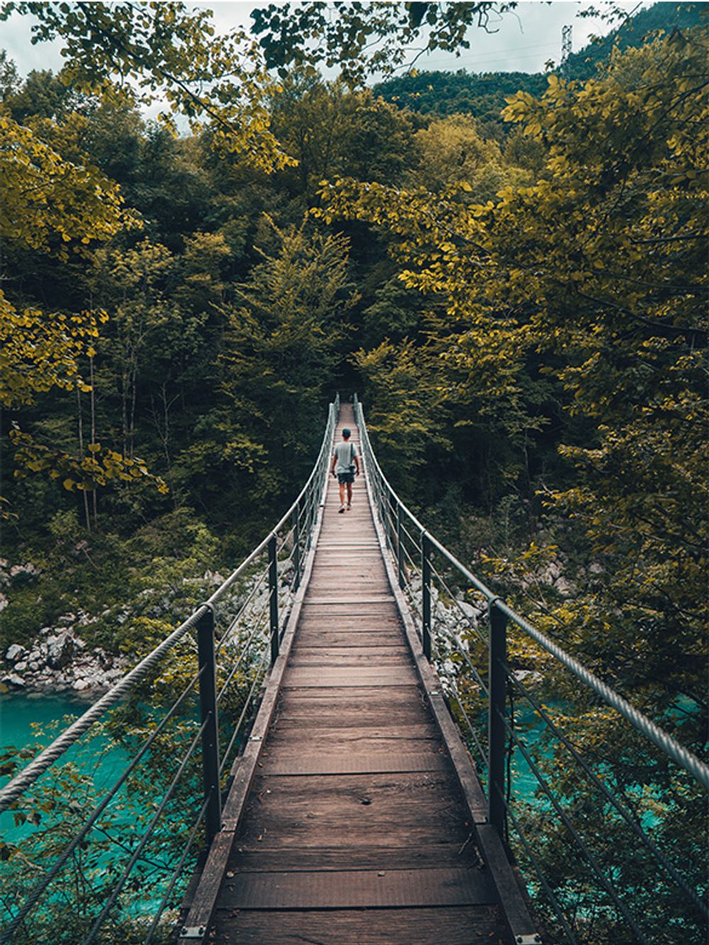 Nature Photography