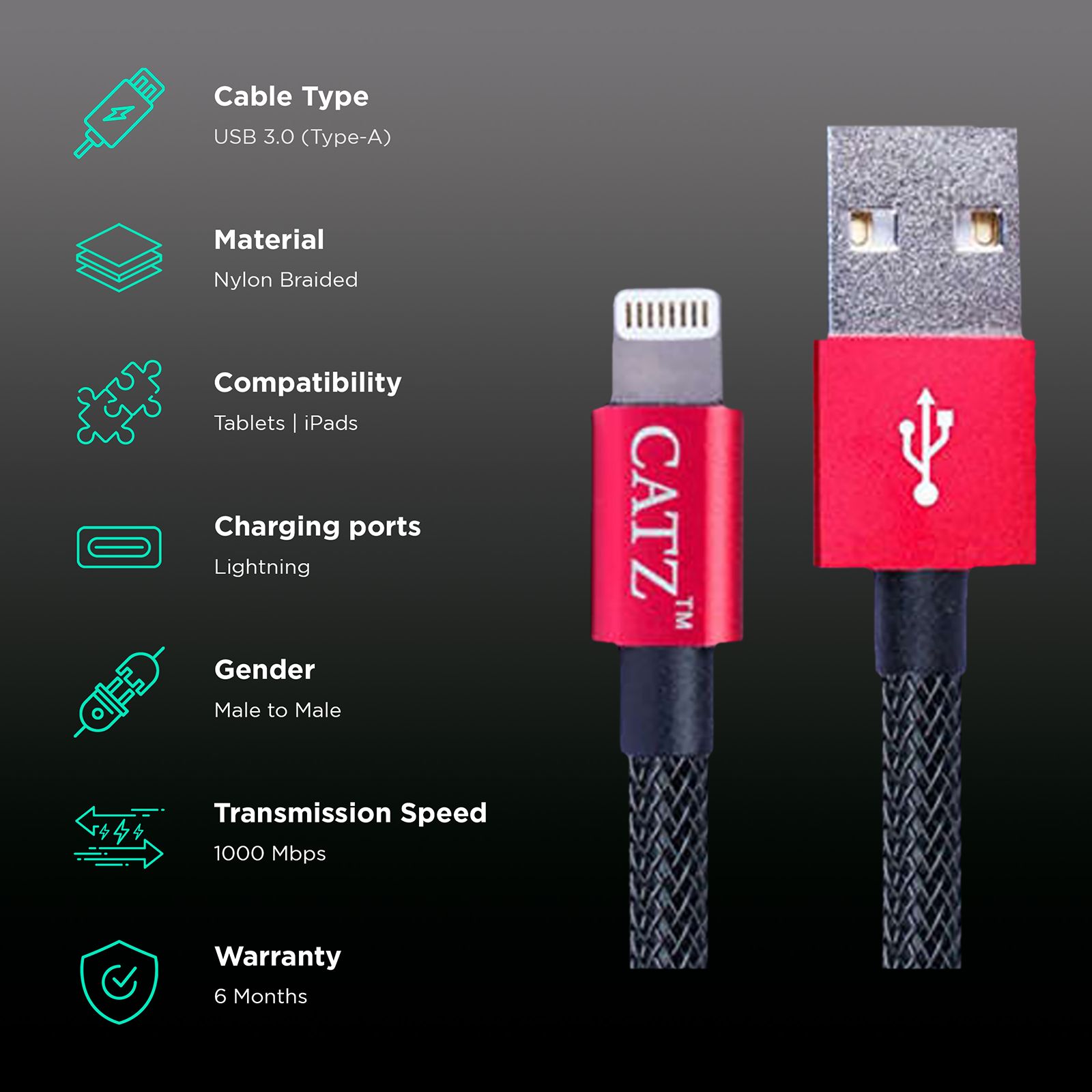 Brilyant CZ-LT Type A to Lightning 3.2 Feet (1M) Cable (Nylon Braided, Black) Brilyant CZ-LT Type A to Lightning 3.2 Feet (1M) Cable (Nylon Braided, Black)_2
