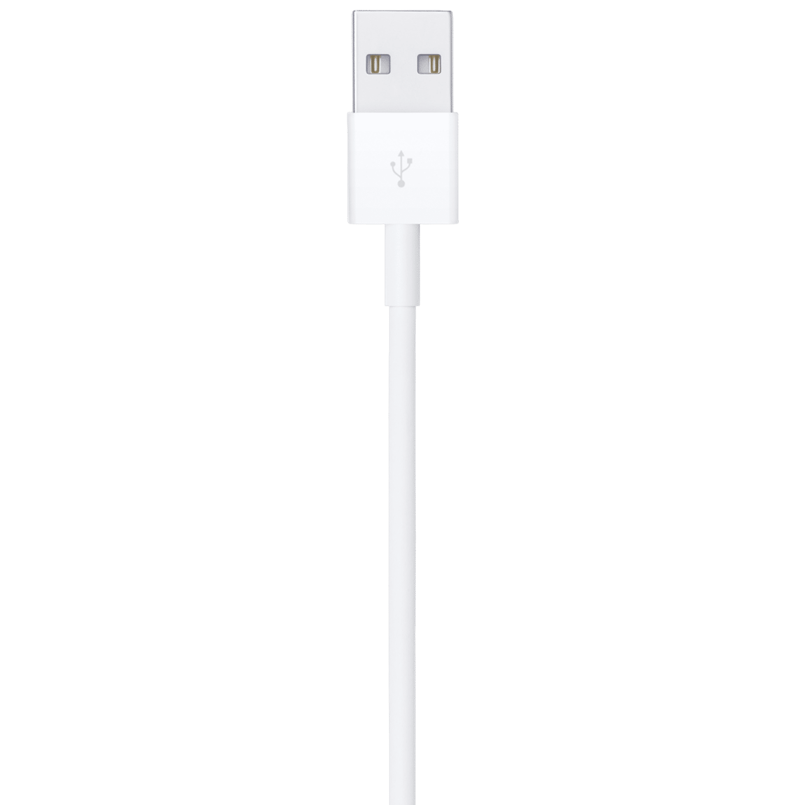 Apple Type A to Lightning 3.2 Feet (1M) Cable (Reversible Design, White)_4