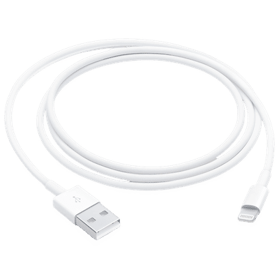Apple Type A to Lightning 3.2 Feet (1M) Cable (Reversible Design, White)