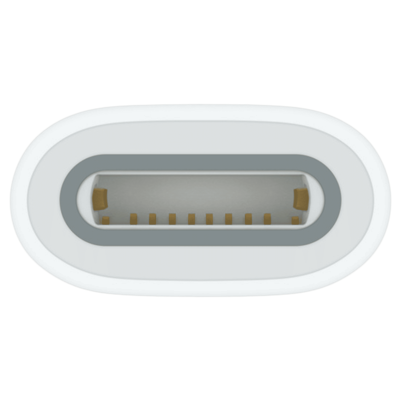 Apple USB Type C to Lightning Pencil Adapter (Pairing & Charging, White)_3