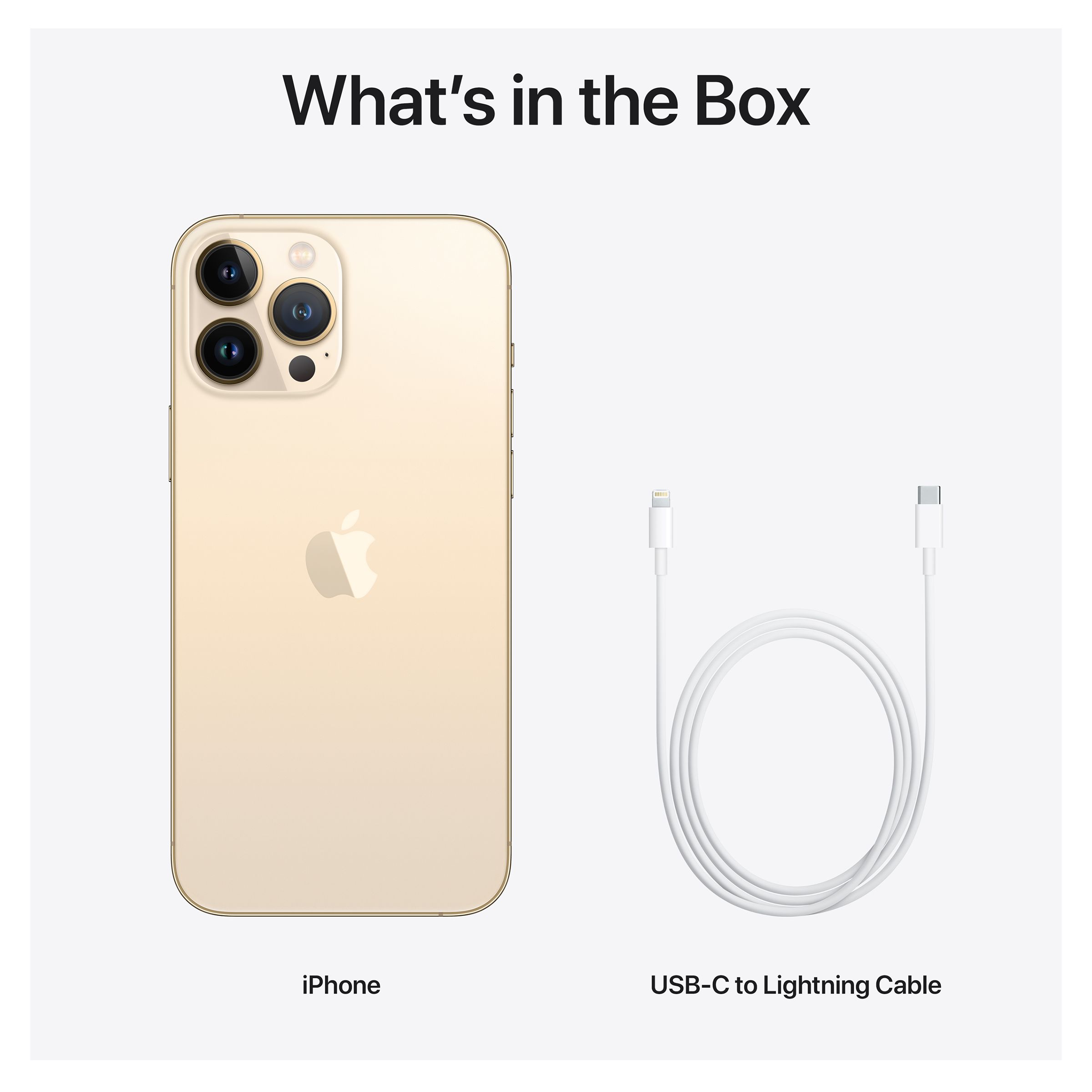 Apple iPhone 13 Pro Max (1TB, Gold) Apple iPhone 13 Pro Max (1TB, Gold)_3