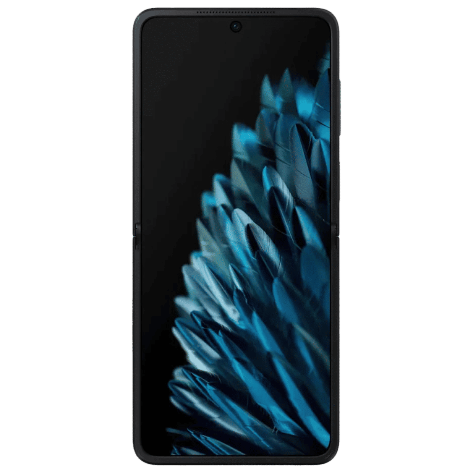 oppo Find N2 Flip 5G (8GB RAM, 256GB, Astral Black) | With 44W SUPERVOO Flash Charger_4