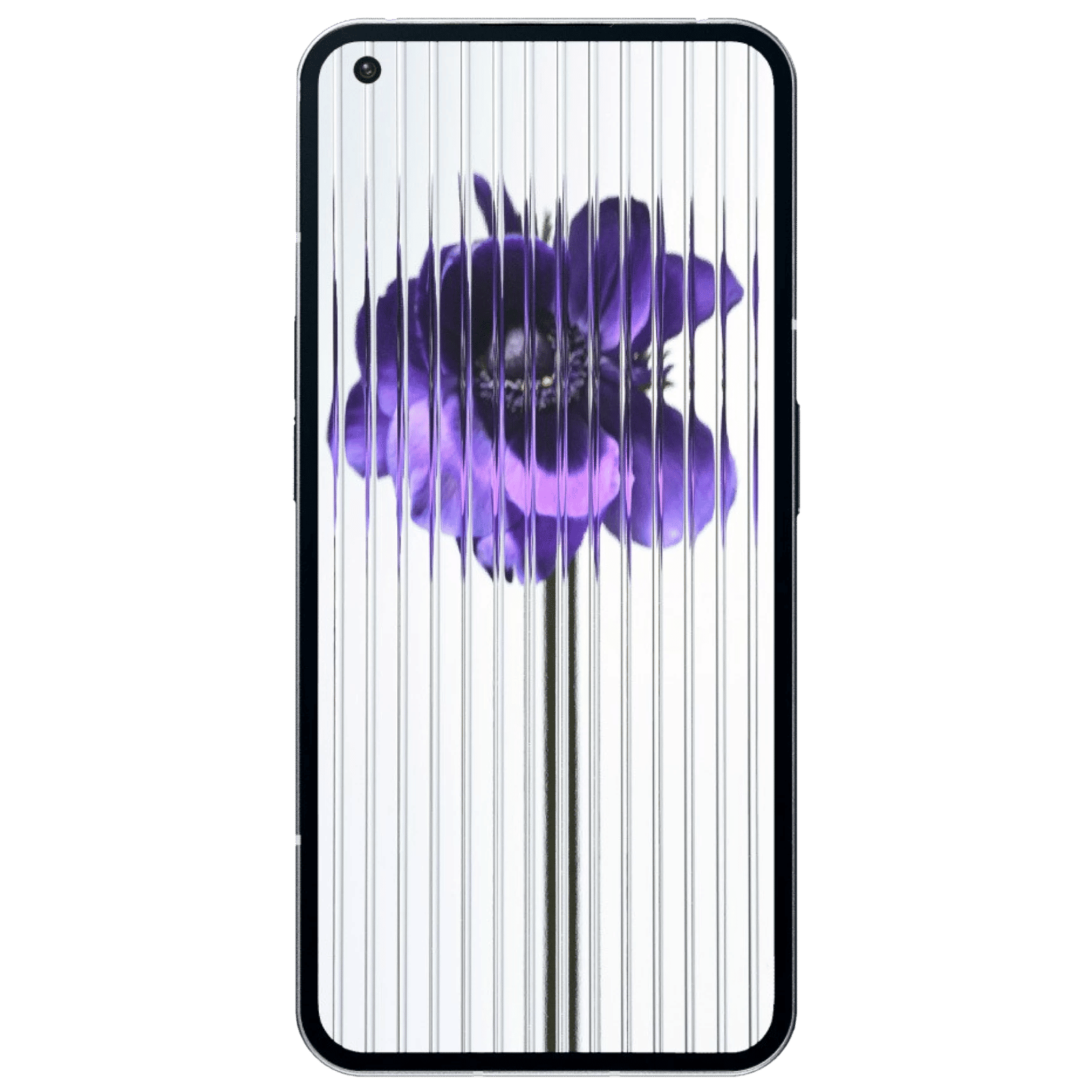 Nothing Phone 1 5G (8GB RAM, 256GB, White) _6