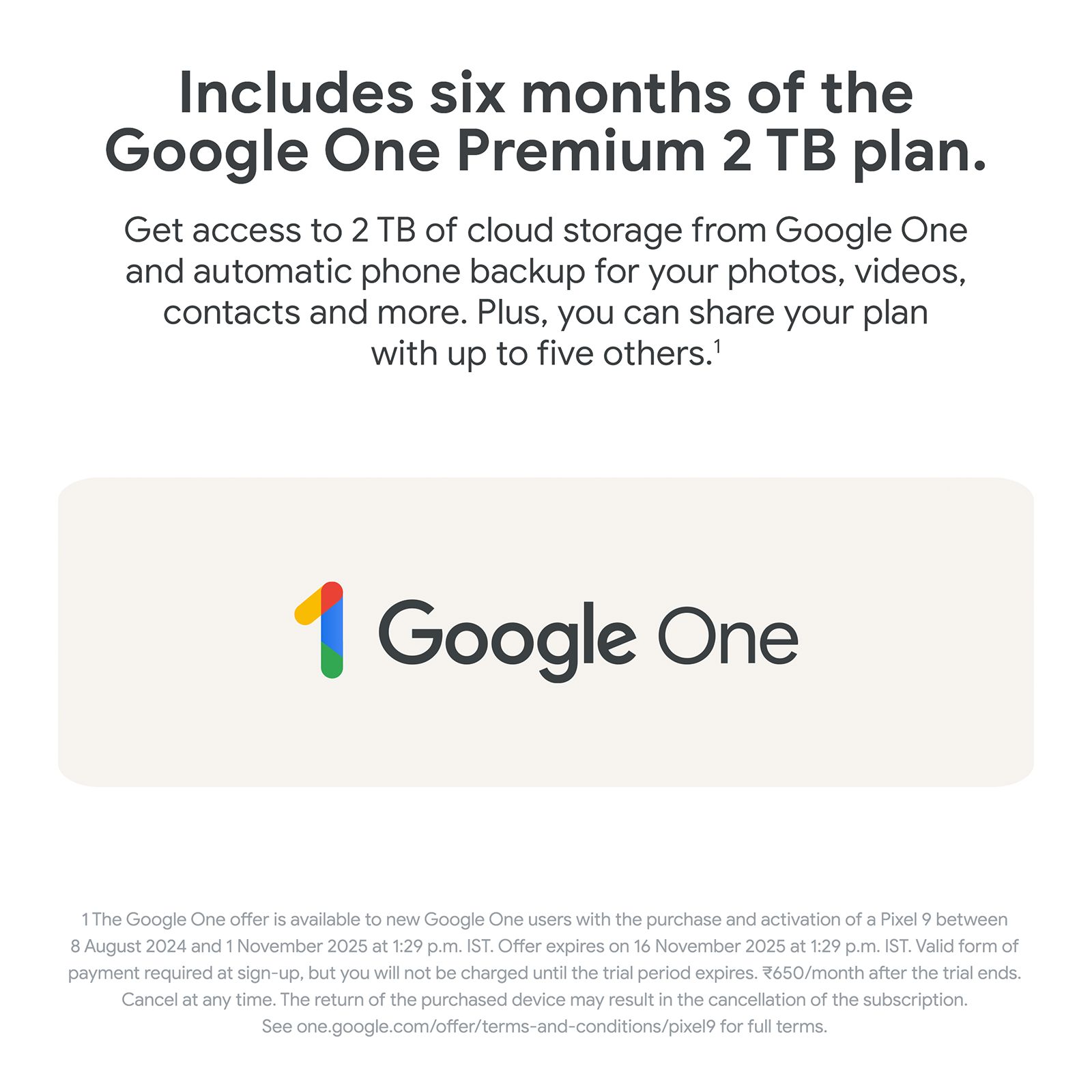 Google Pixel 9 5G (12GB RAM, 256GB, Wintergreen) Google Pixel 9 5G (12GB RAM, 256GB, Wintergreen)_14