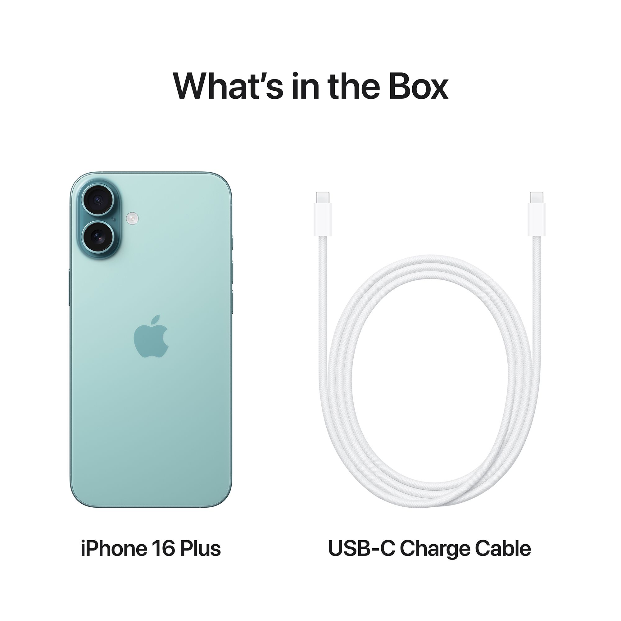 Apple iPhone 16 Plus (256GB, Teal)_9