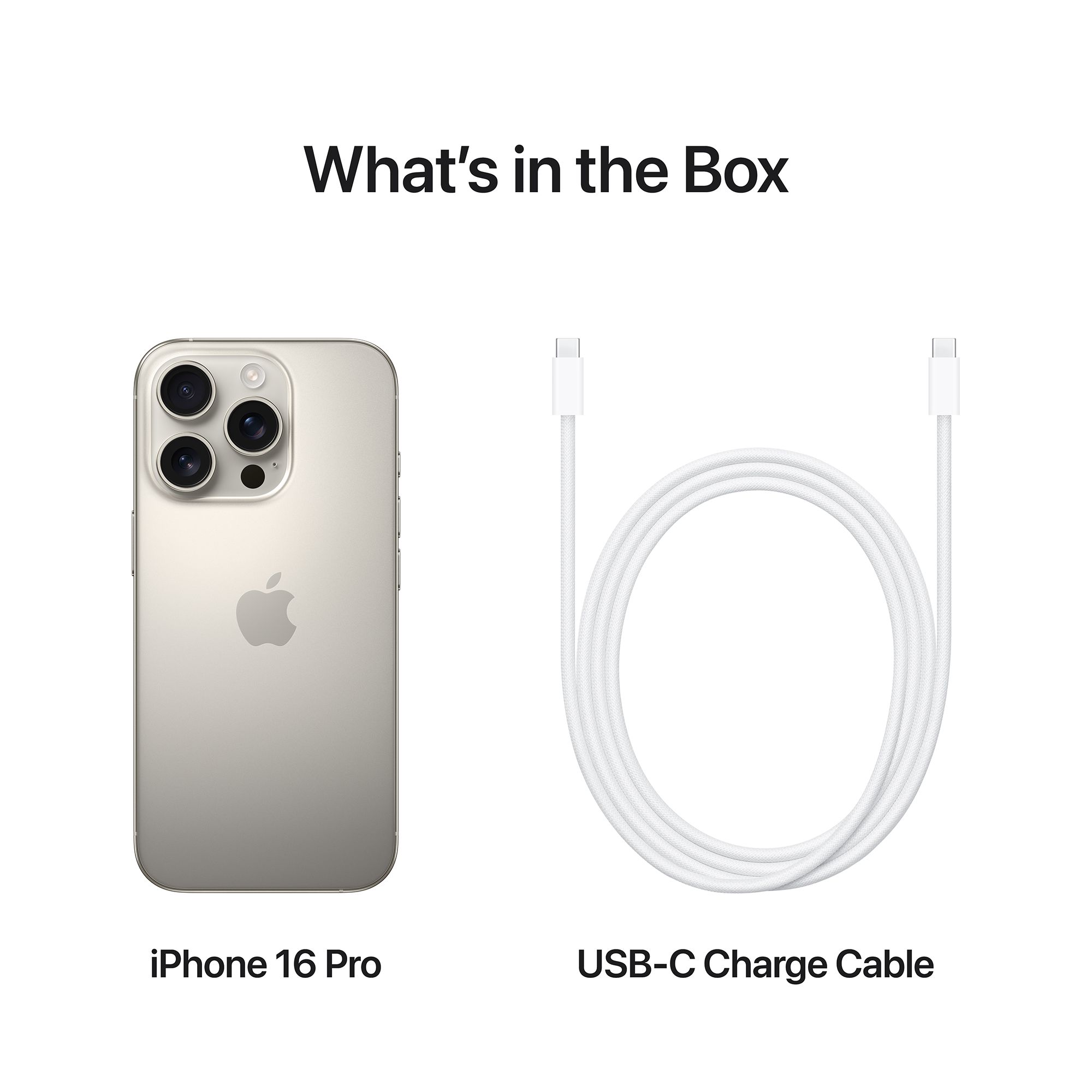 Apple iPhone 16 Pro (256GB, Natural Titanium)_9