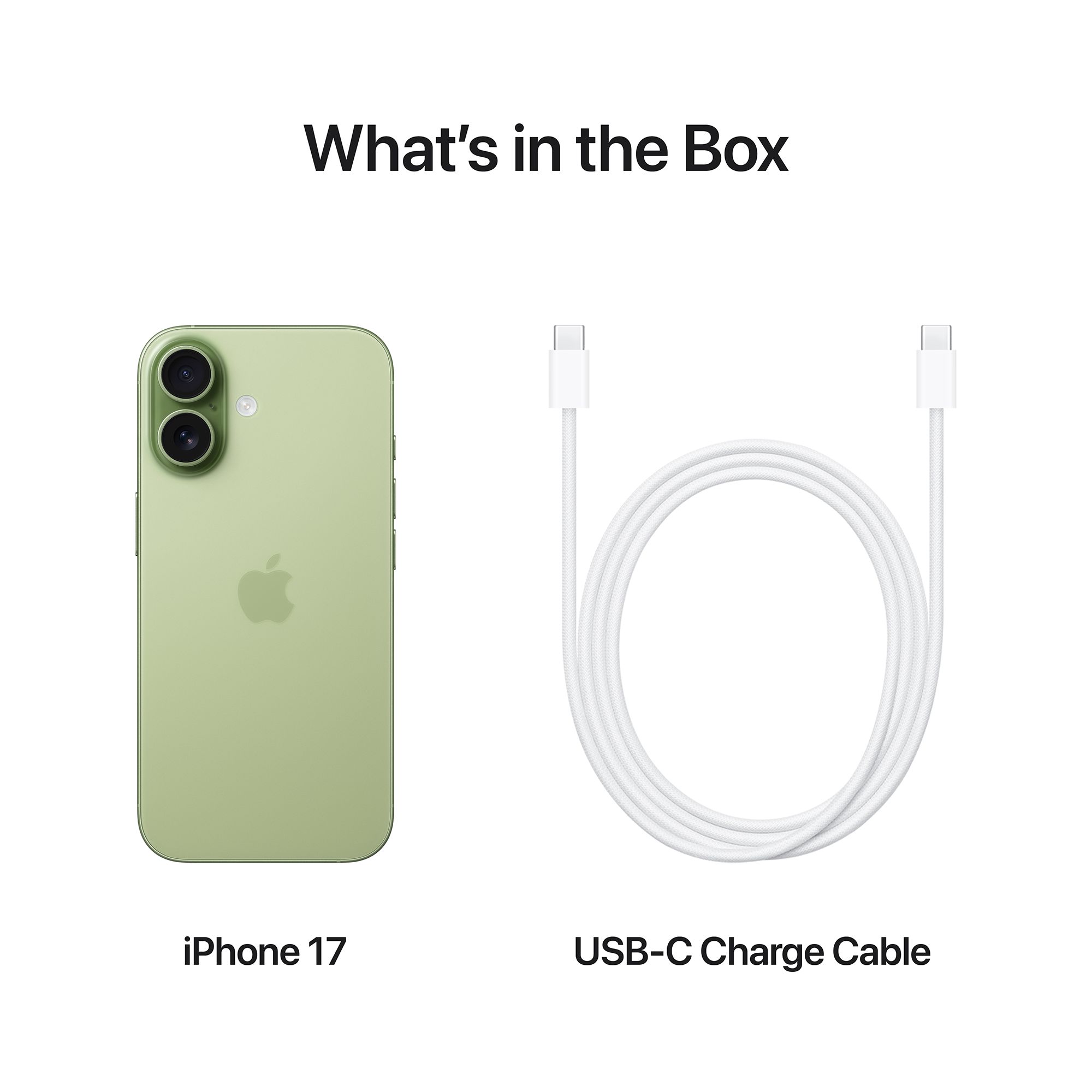 Apple iPhone 17 (512GB, Sage) Apple iPhone 17 (512GB, Sage)_8