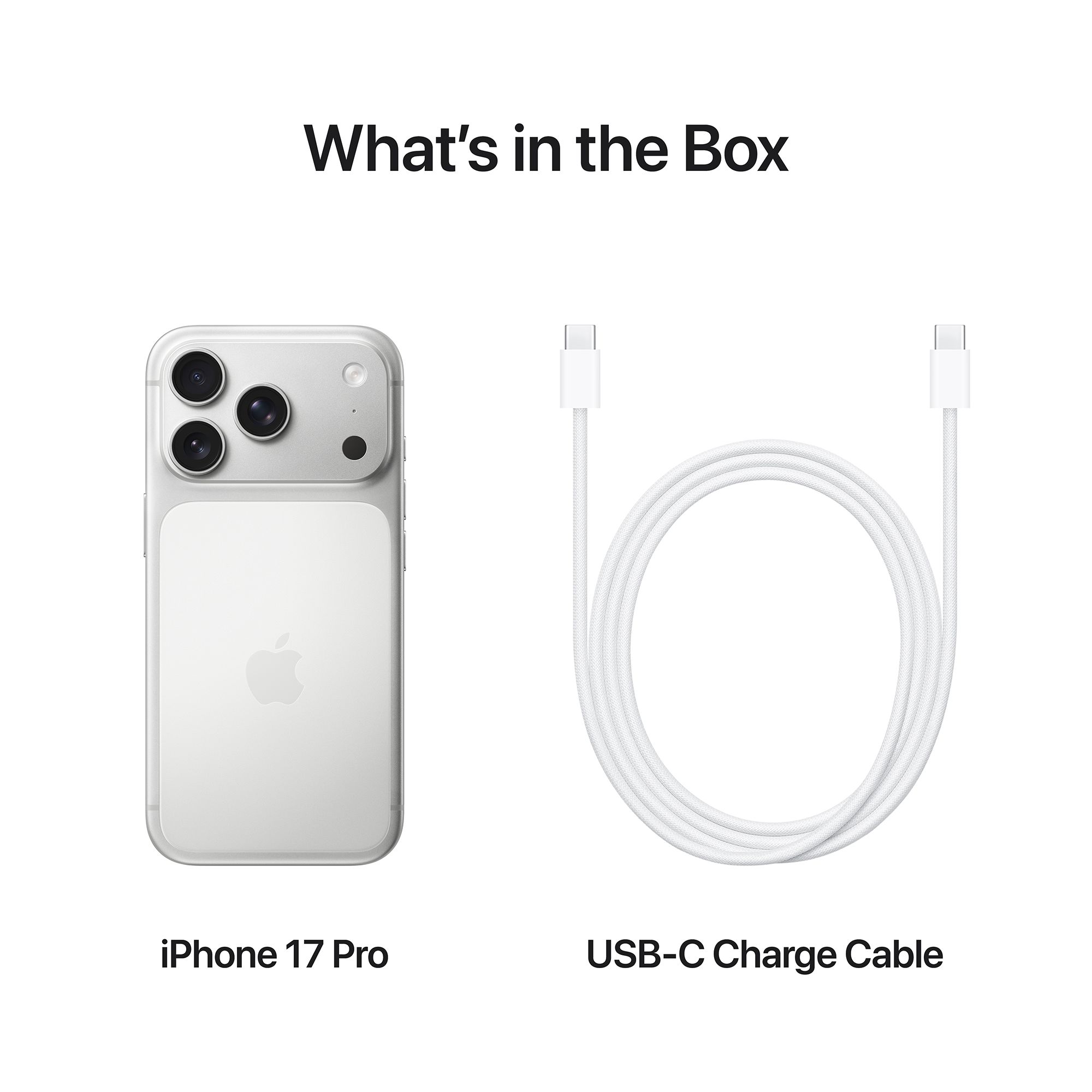 Apple iPhone 17 Pro (256GB, Silver)_8