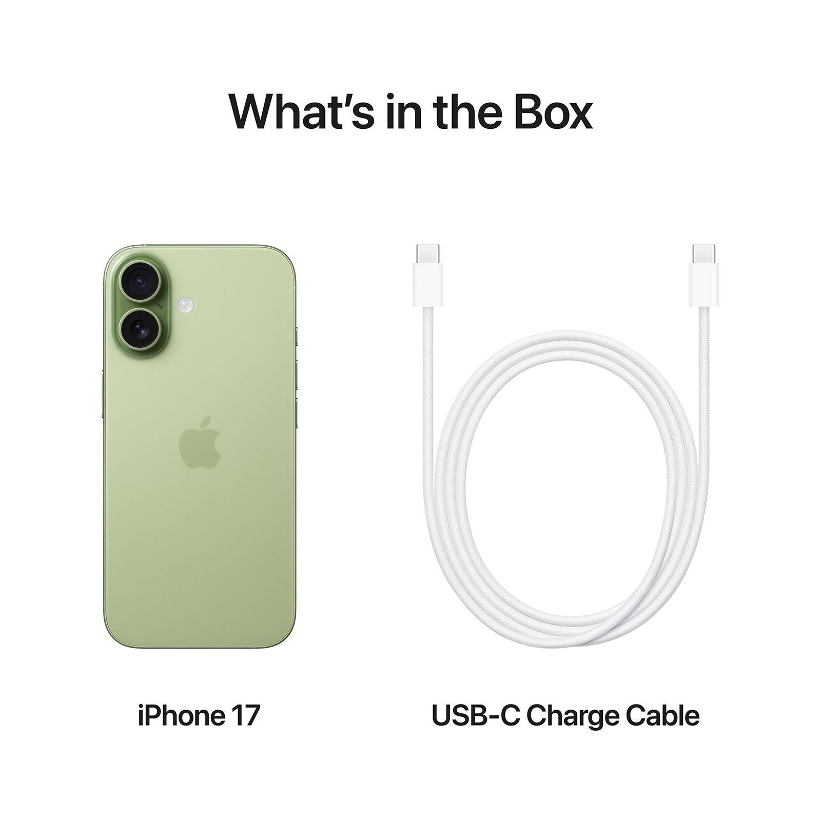 Apple iPhone 17 (256GB, Sage) Apple iPhone 17 (256GB, Sage)_8