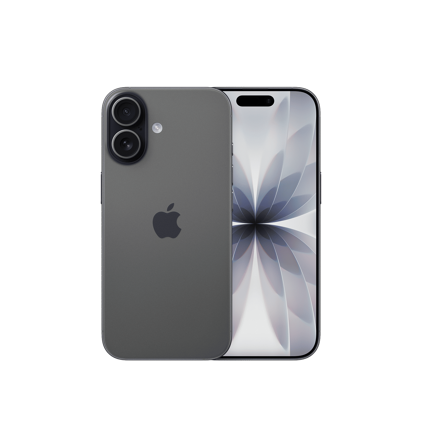 Apple iPhone 17 (256GB, Black) Apple iPhone 17 (256GB, Black)_1
