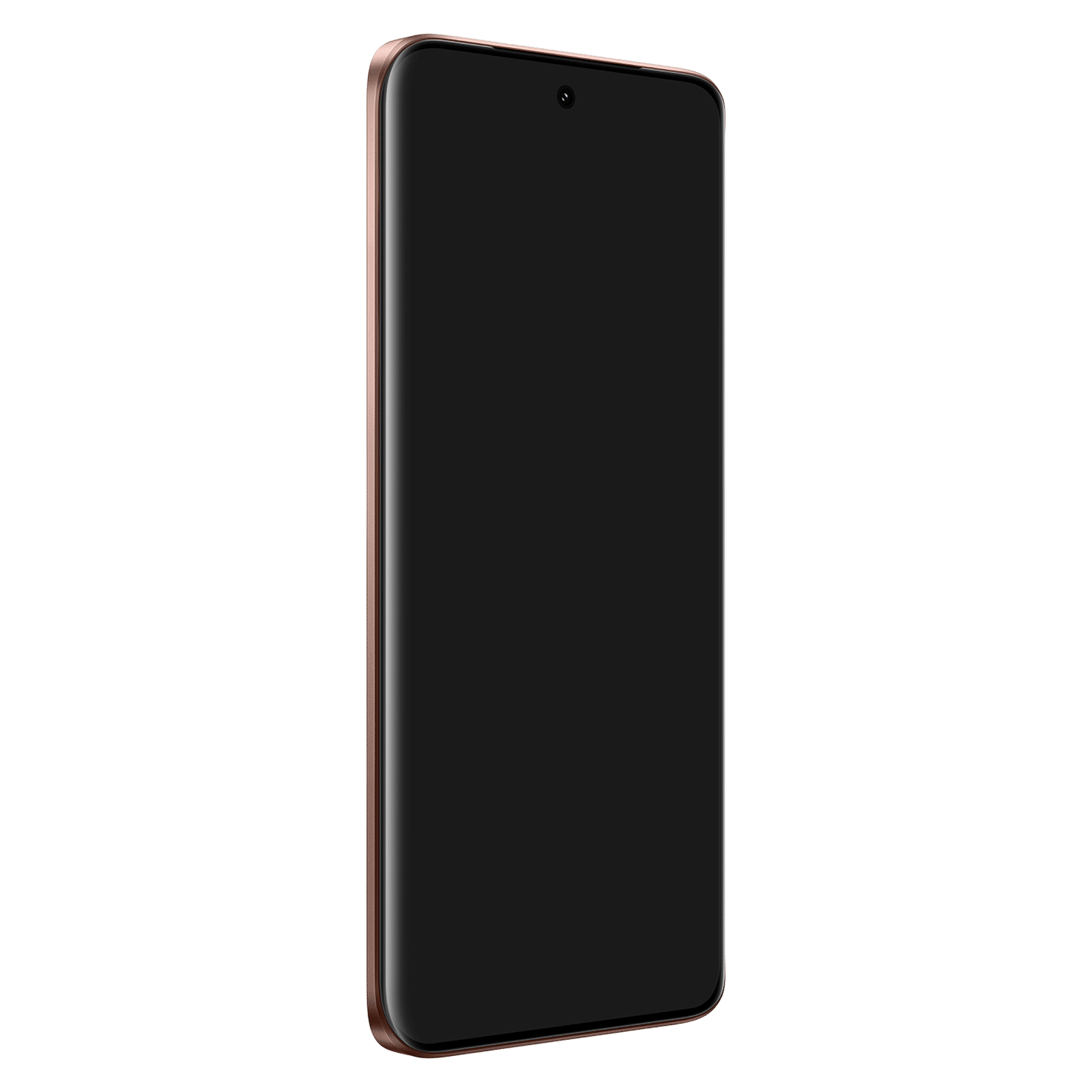 vivo S2 5G (8GB RAM, 256GB, Regal Bronze) vivo S2 5G (8GB RAM, 256GB, Regal Bronze)_2