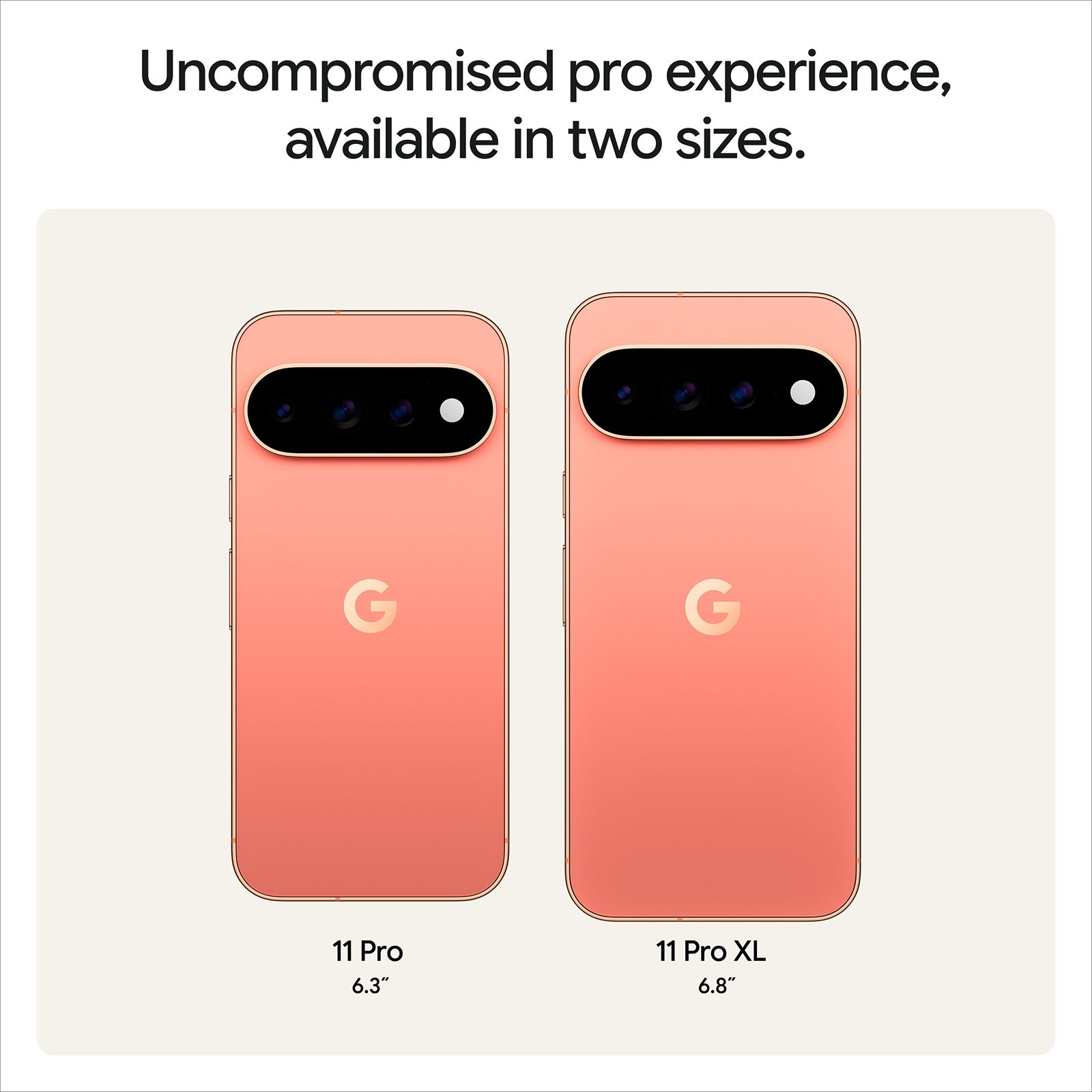 Google Pixel 11 Pro 5G (12GB RAM, 256GB, Canyon)_12