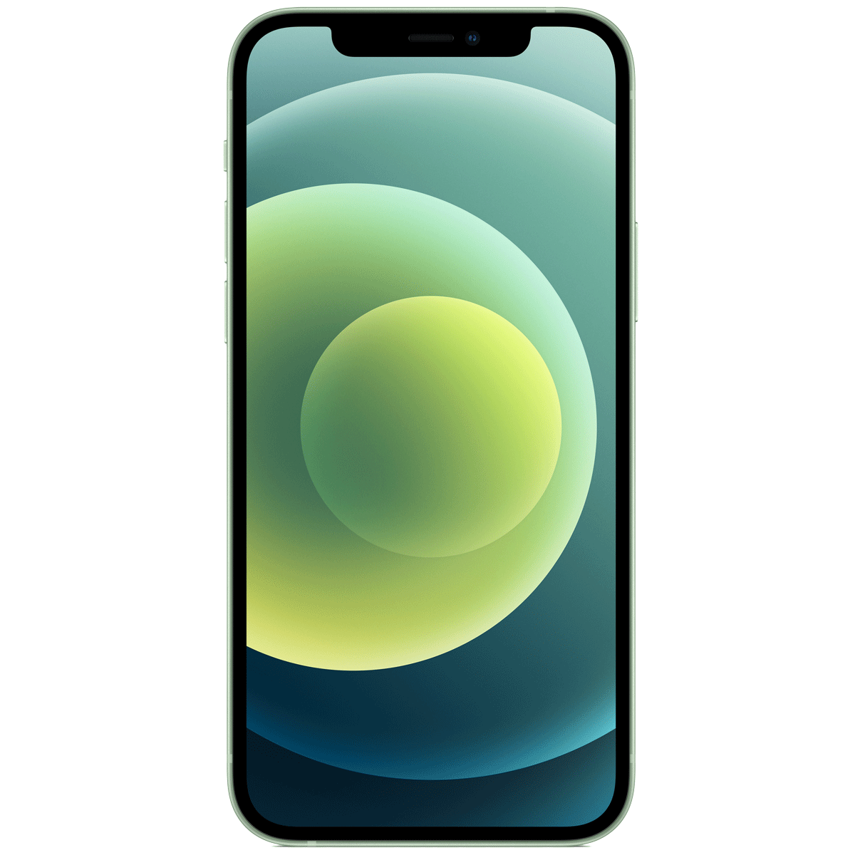 Apple iPhone 12 (256GB ROM, 4GB RAM, MGJL3HN/A, Green)_1