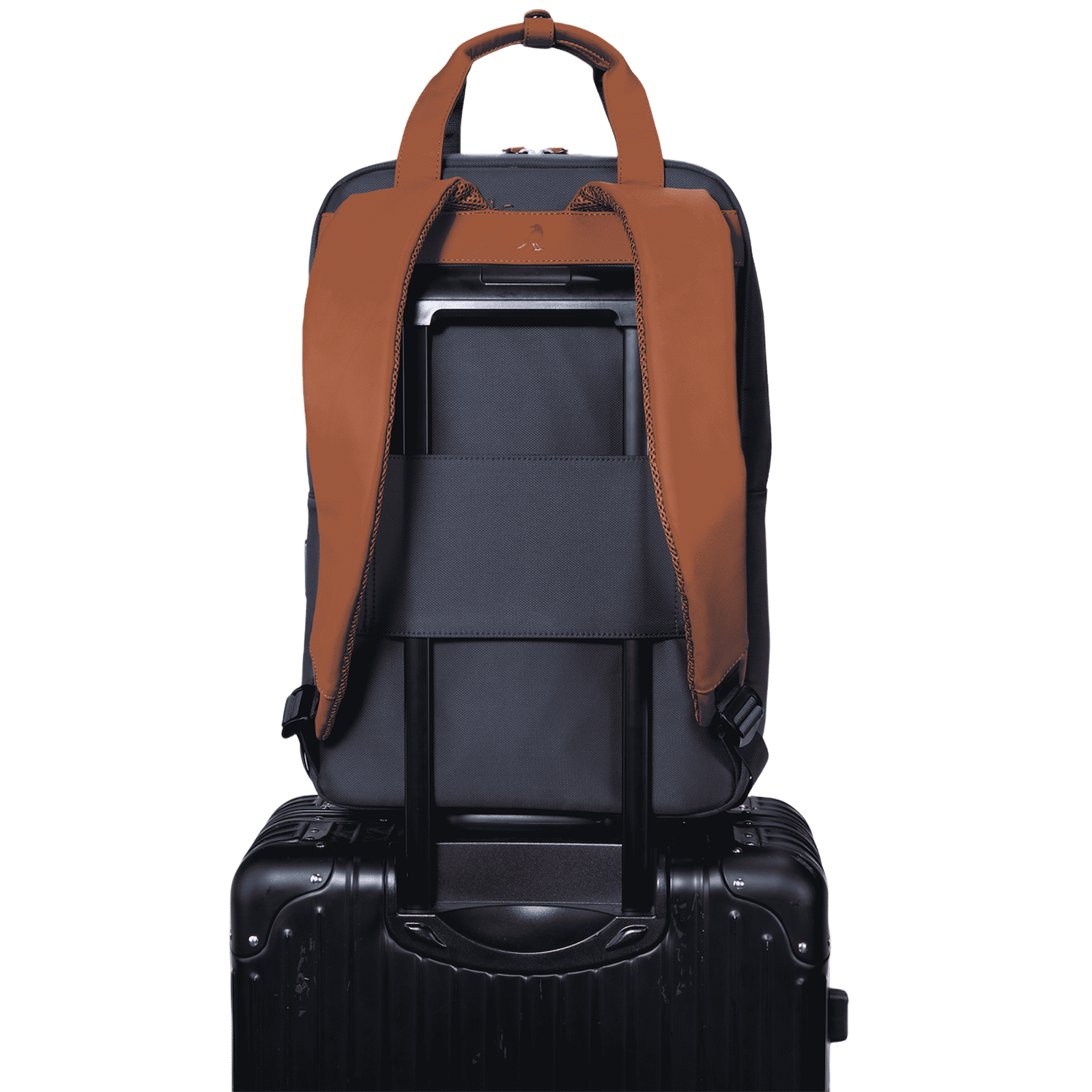 hoi polloi Stanly Nylon, Polyester, PU Laptop Backpack for 16 Inch Laptop (13.8 L, Water Resistant, Starry Night Blue & Tan)_5