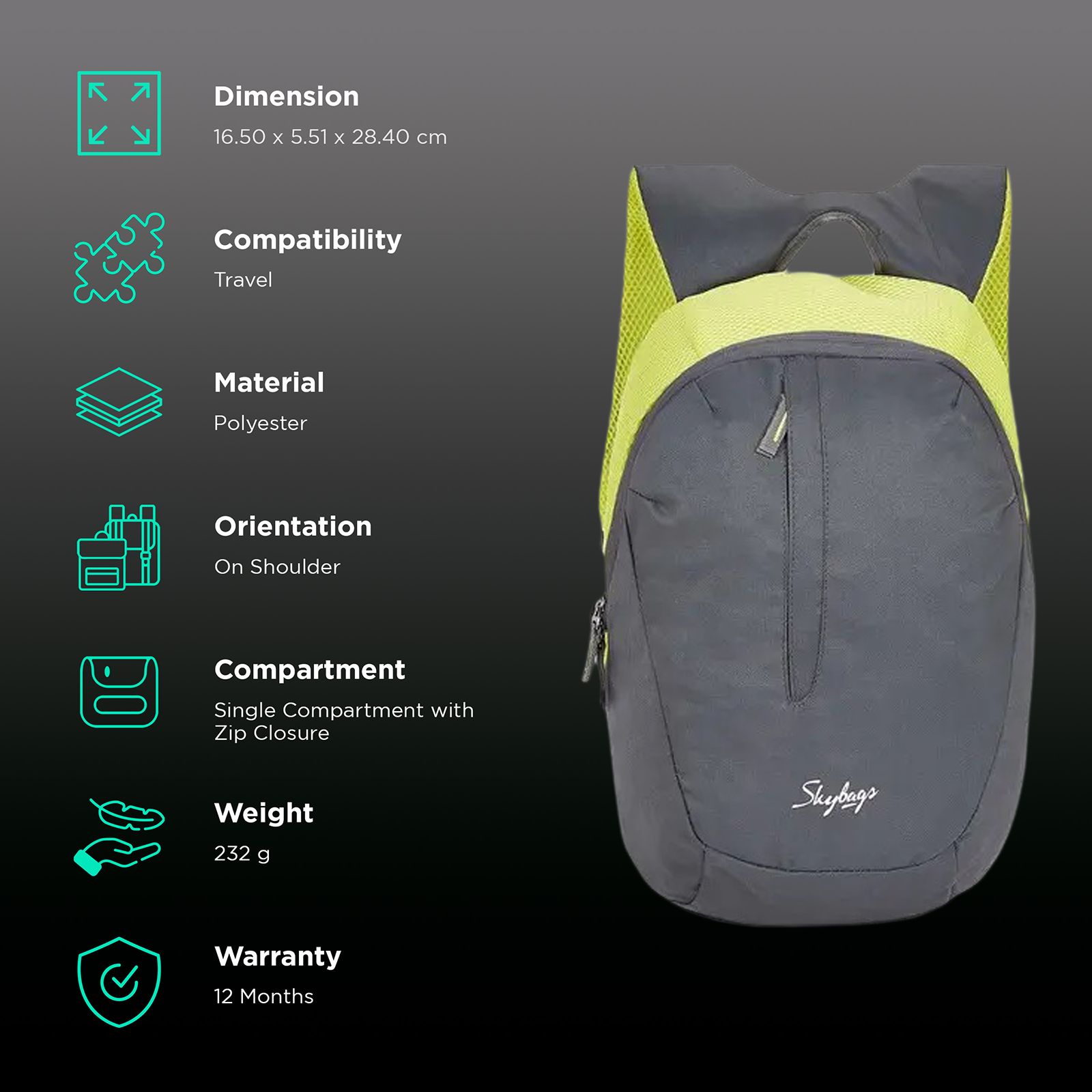 Skybags Zuke Backpack (Padded Shoulder Strap, BPZUK2GRY, Grey) Skybags Zuke Backpack (Padded Shoulder Strap, BPZUK2GRY, Grey)_3