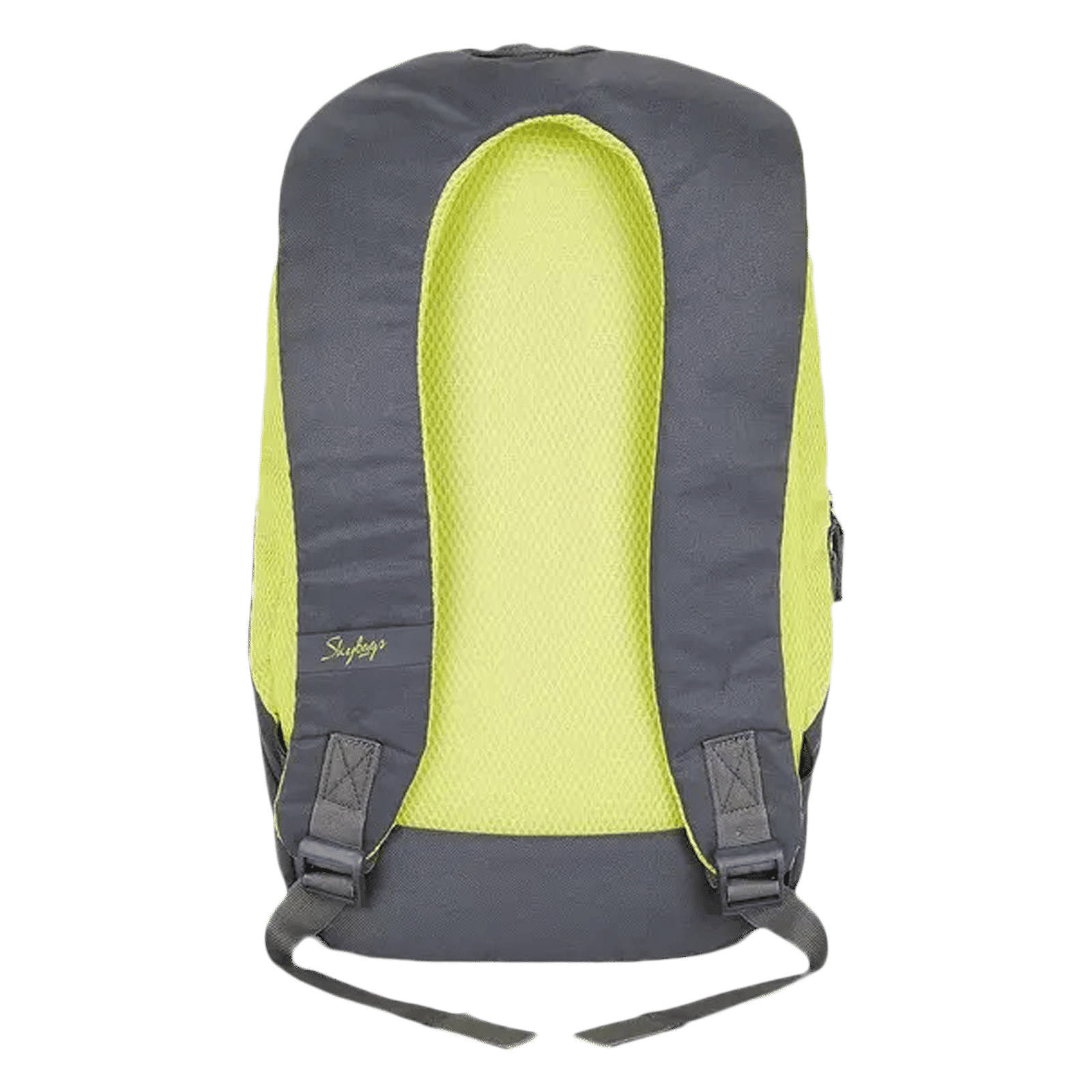 Skybags Zuke Backpack (Padded Shoulder Strap, BPZUK2GRY, Grey) Skybags Zuke Backpack (Padded Shoulder Strap, BPZUK2GRY, Grey)_5