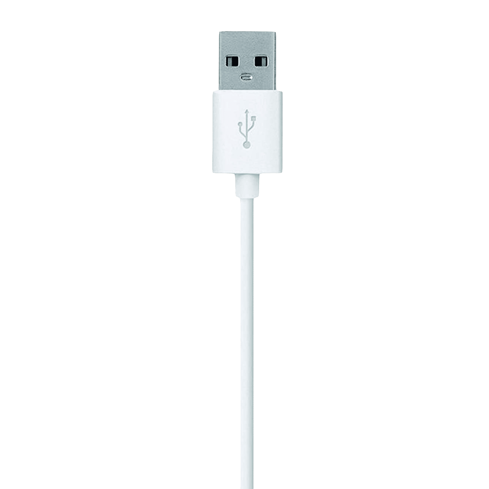 Pebble Type A to Type C 3.3 Feet (1M) Cable (Sync and Charge, White) Pebble Type A to Type C 3.3 Feet (1M) Cable (Sync and Charge, White)_6