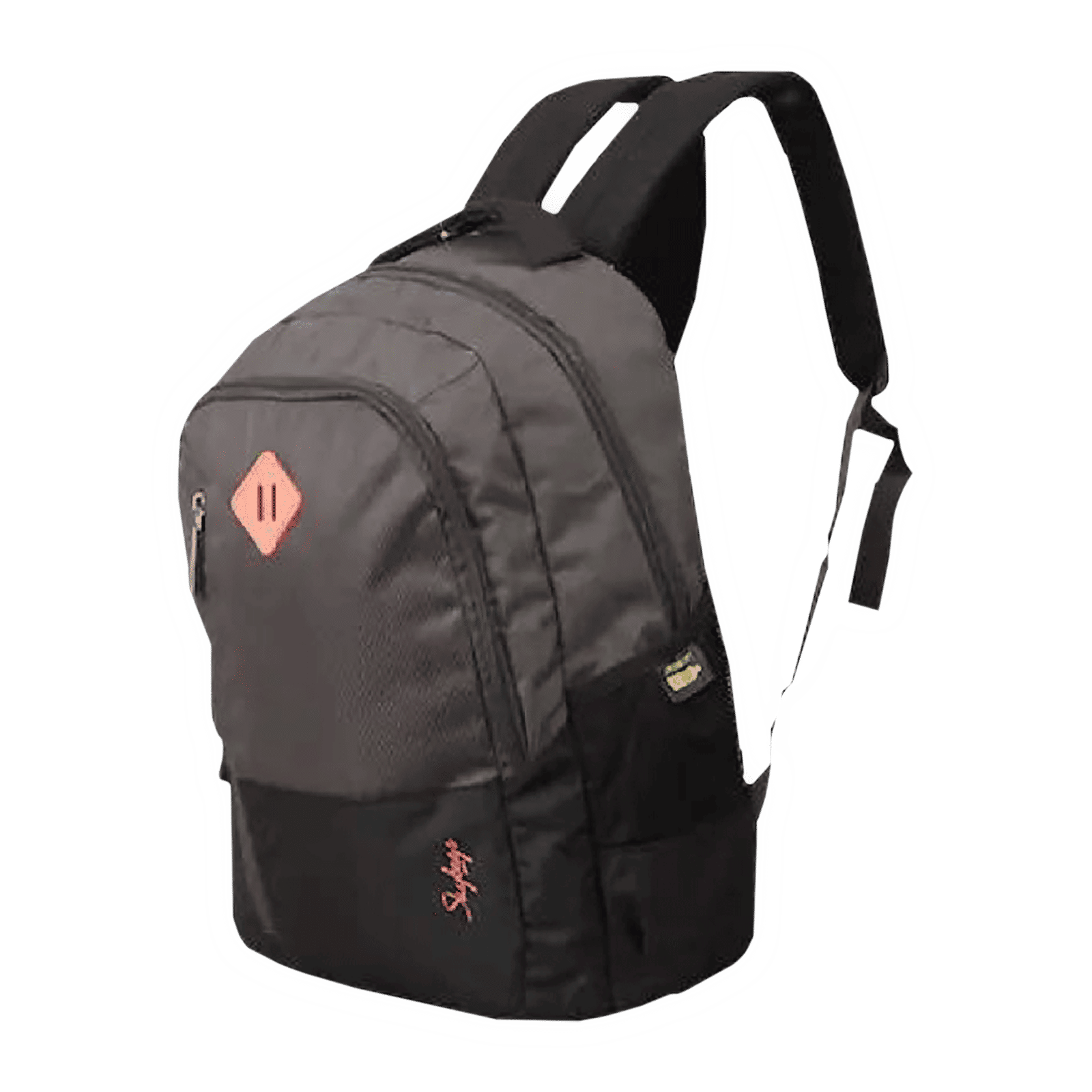 Skybags Arthur Polyester Laptop Backpack for 15.4 Inch Laptop (30 L, Waterproof, Grey)_8