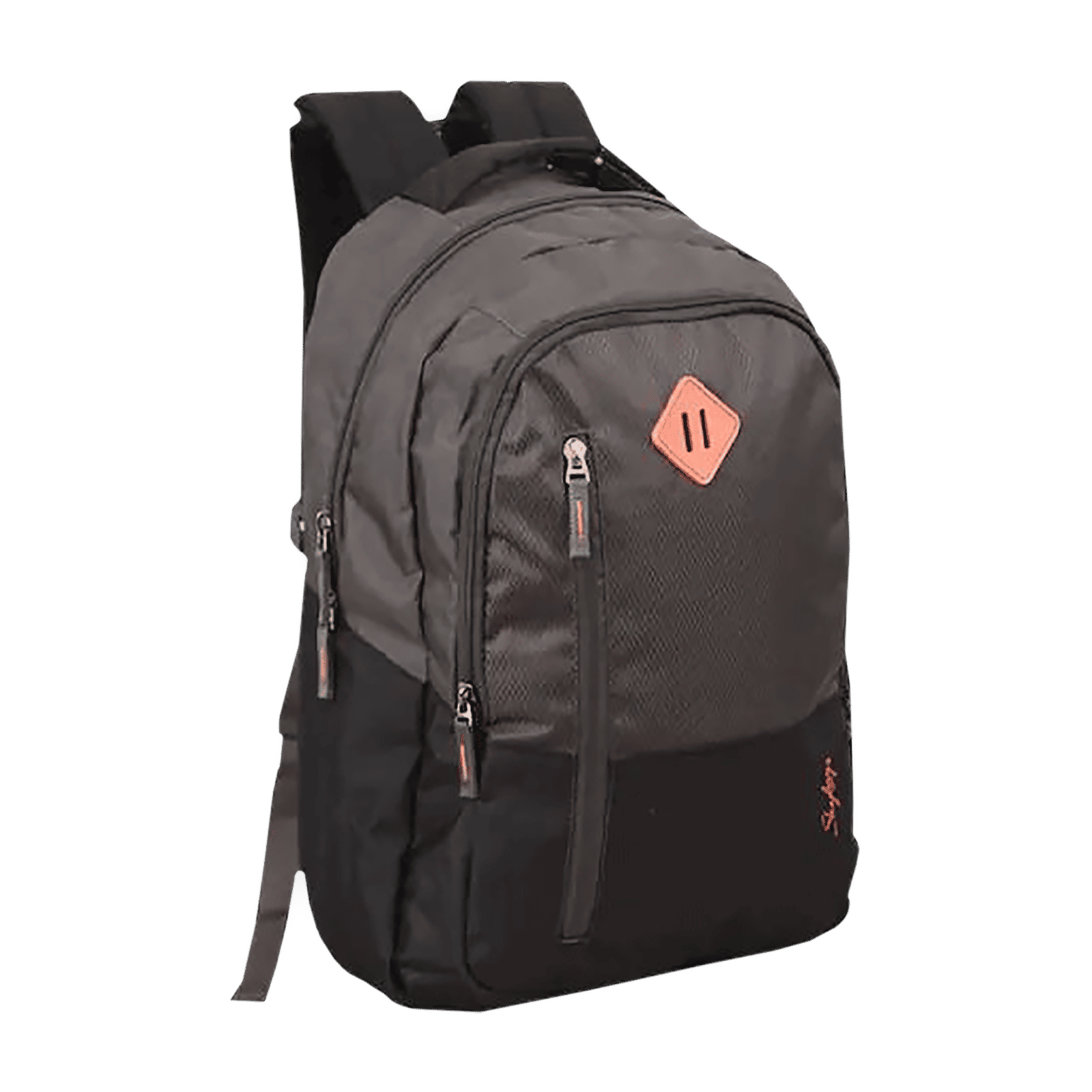 Skybags Arthur Polyester Laptop Backpack for 15.4 Inch Laptop (30 L, Waterproof, Grey)_6