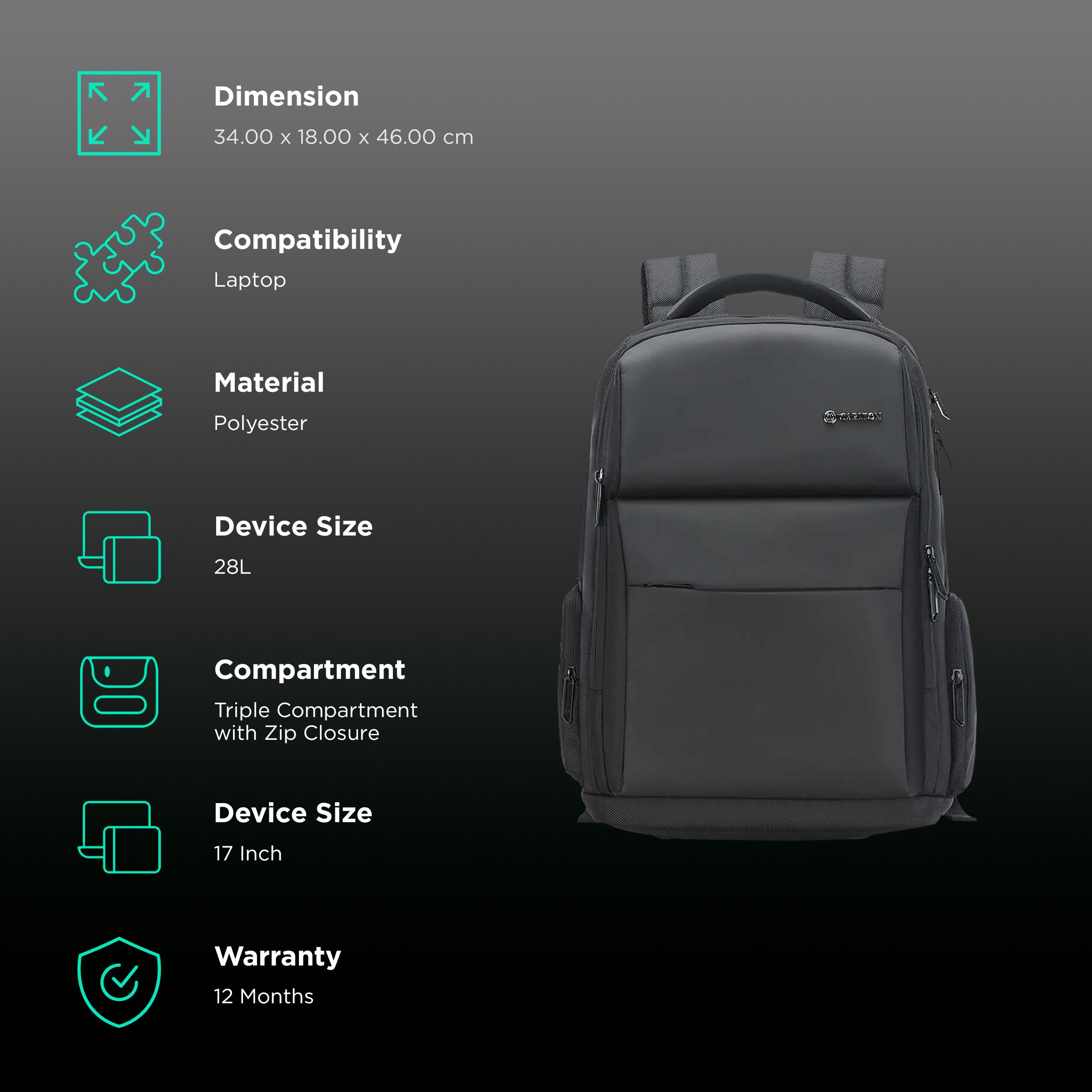 Carlton Dorset 05 Polyester Laptop Backpack for 17 Inch Laptop (28 L, With Rain Cover, Matte Black)_2