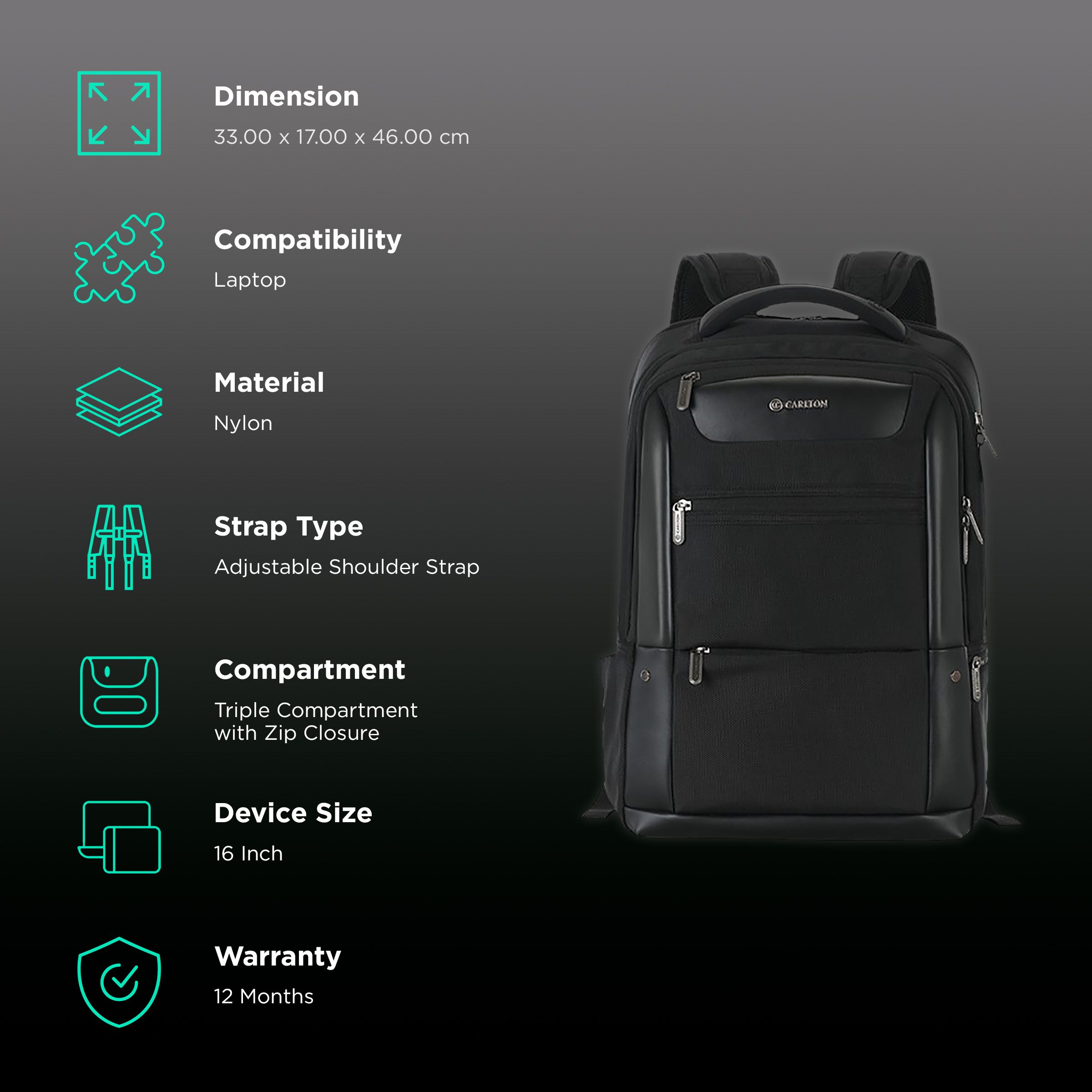 Carlton Hampshire 01 Nylon Laptop Backpack for 16 Inch Laptop (26 L, Ergo Foam Back, Ferrous Black) Carlton Hampshire 01 Nylon Laptop Backpack for 16 Inch Laptop (26 L, Ergo Foam Back, Ferrous Black)_2