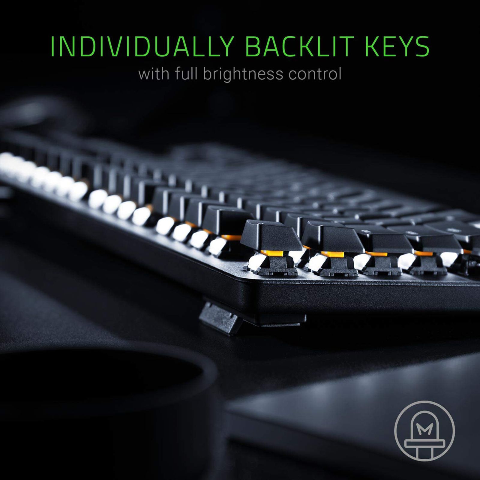 RAZER BlackWidow Lite Wired Gaming Keyboard (Orange Mechanical Switch, RZ03-02640200-R3U1, Black)_17