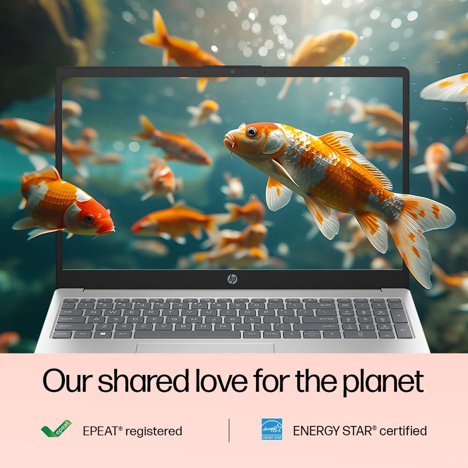 HP 15-fd0490TU Intel Core i3 13th Gen Thin & Light Laptop (8GB, 512GB SSD, Windows 11 Home, 15.6 inch Full HD Display, MS Office 2024, Natural Silver, 1.59 KG)_9