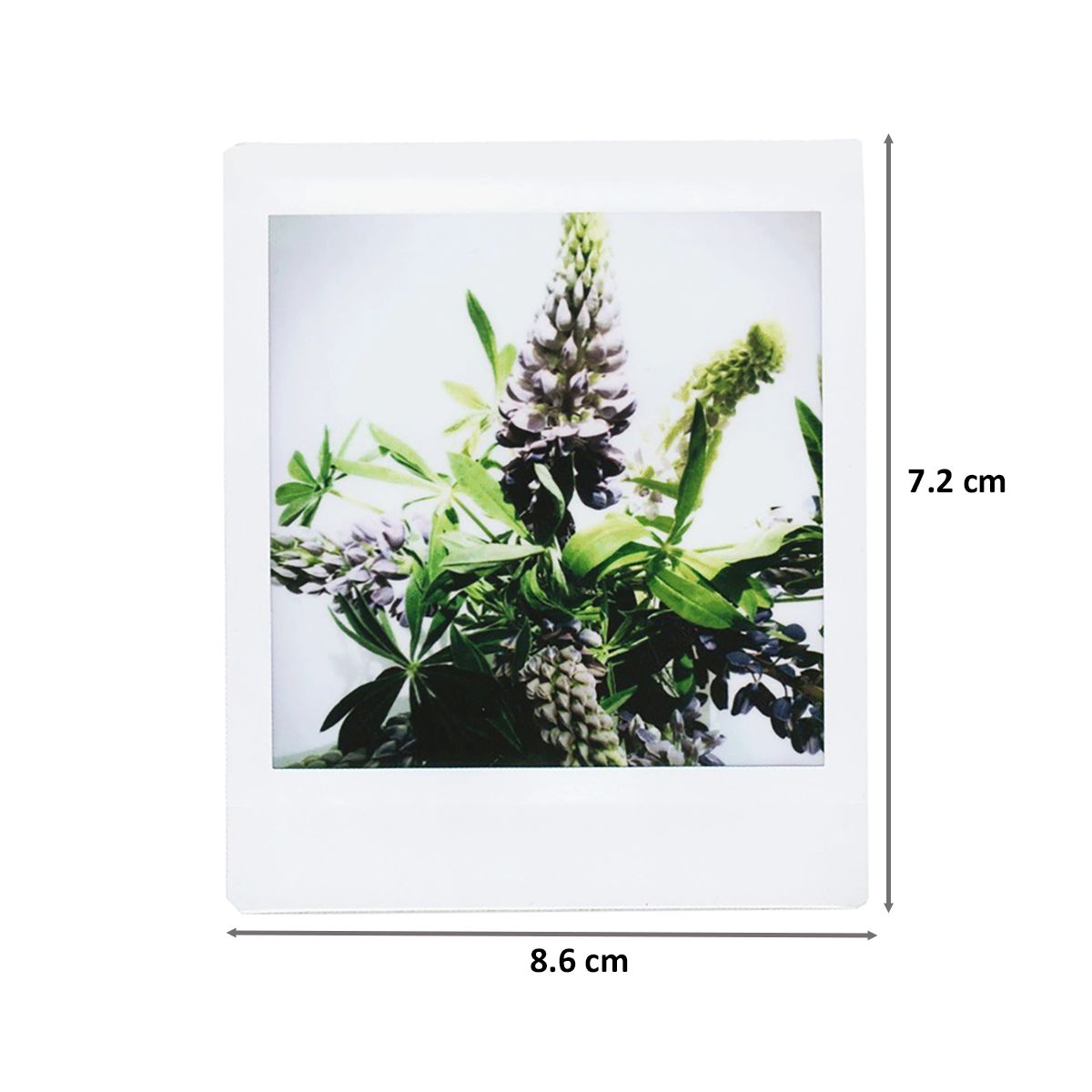 FUJIFILM Instax Square Film Sheet (86 x 72 mm) Gloss Paper (10 Shots, 450gsm, 16549278, White)_2