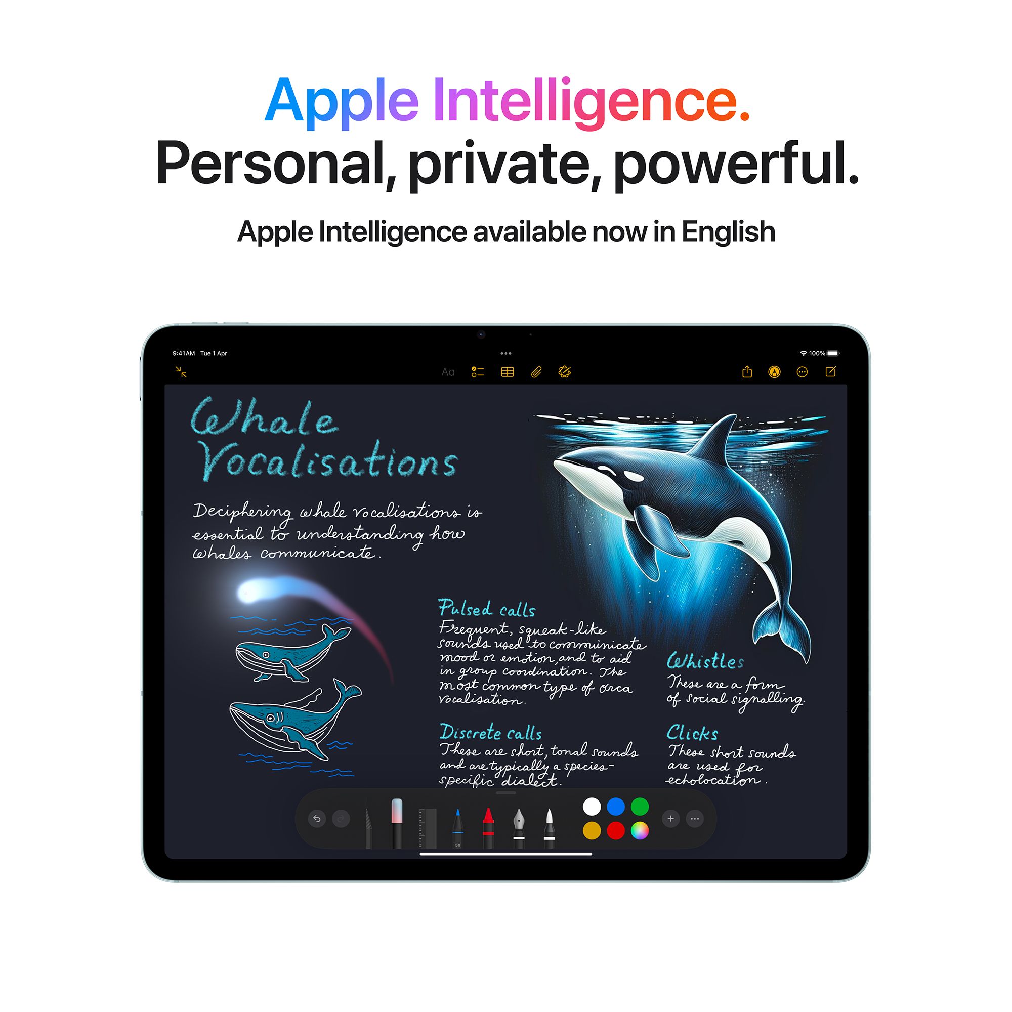Apple iPad Air Wi-Fi (13 Inch, 512GB, Space Grey)_5