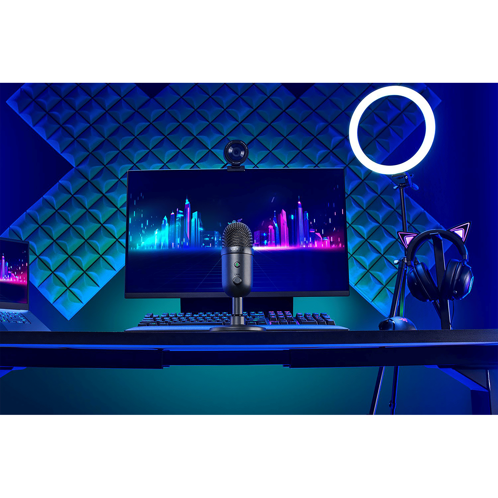 RAZER Seiren V2 X USB Wired Microphone with Digital Analogue Gain Limiter (Black) RAZER Seiren V2 X USB Wired Microphone with Digital Analogue Gain Limiter (Black)_9