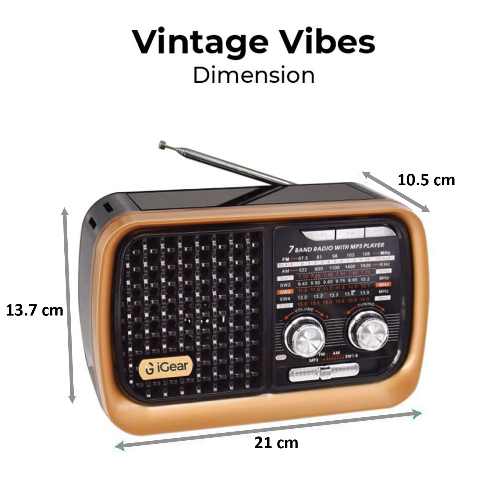 iGear Vintage Vibes 8 Watts MP3 Player (Rechargeable Battery, iG-1112, Black and Copper)_2