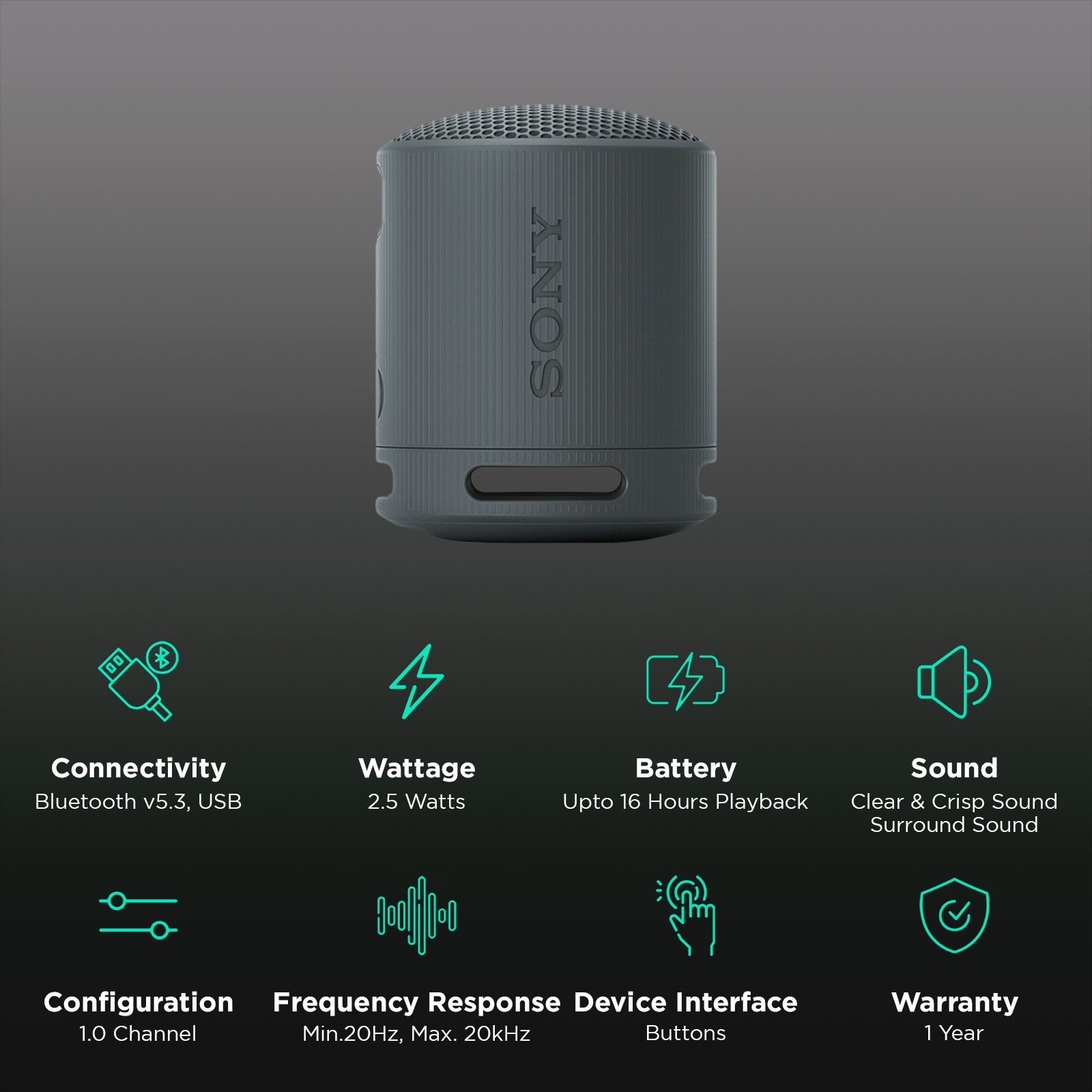 SONY SRS-XB100 2.5W Portable Bluetooth Speaker (IP67 Waterproof, 1.0 Channel, Black) SONY SRS-XB100 2.5W Portable Bluetooth Speaker (IP67 Waterproof, 1.0 Channel, Black)_2