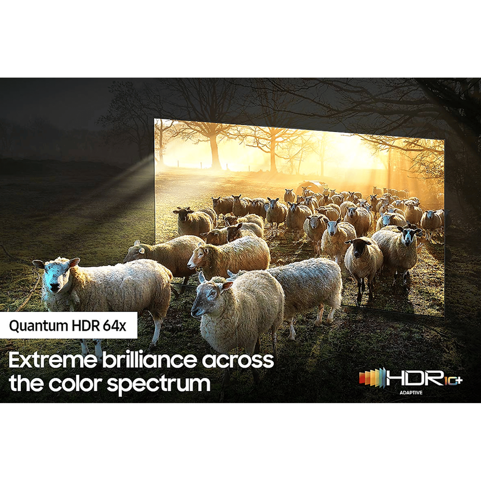 SAMSUNG Series 9 216 cm (85 inch) 8K Ultra HD QLED Tizen TV with Alexa Compatibility SAMSUNG Series 9 216 cm (85 inch) 8K Ultra HD QLED Tizen TV with Alexa Compatibility_15