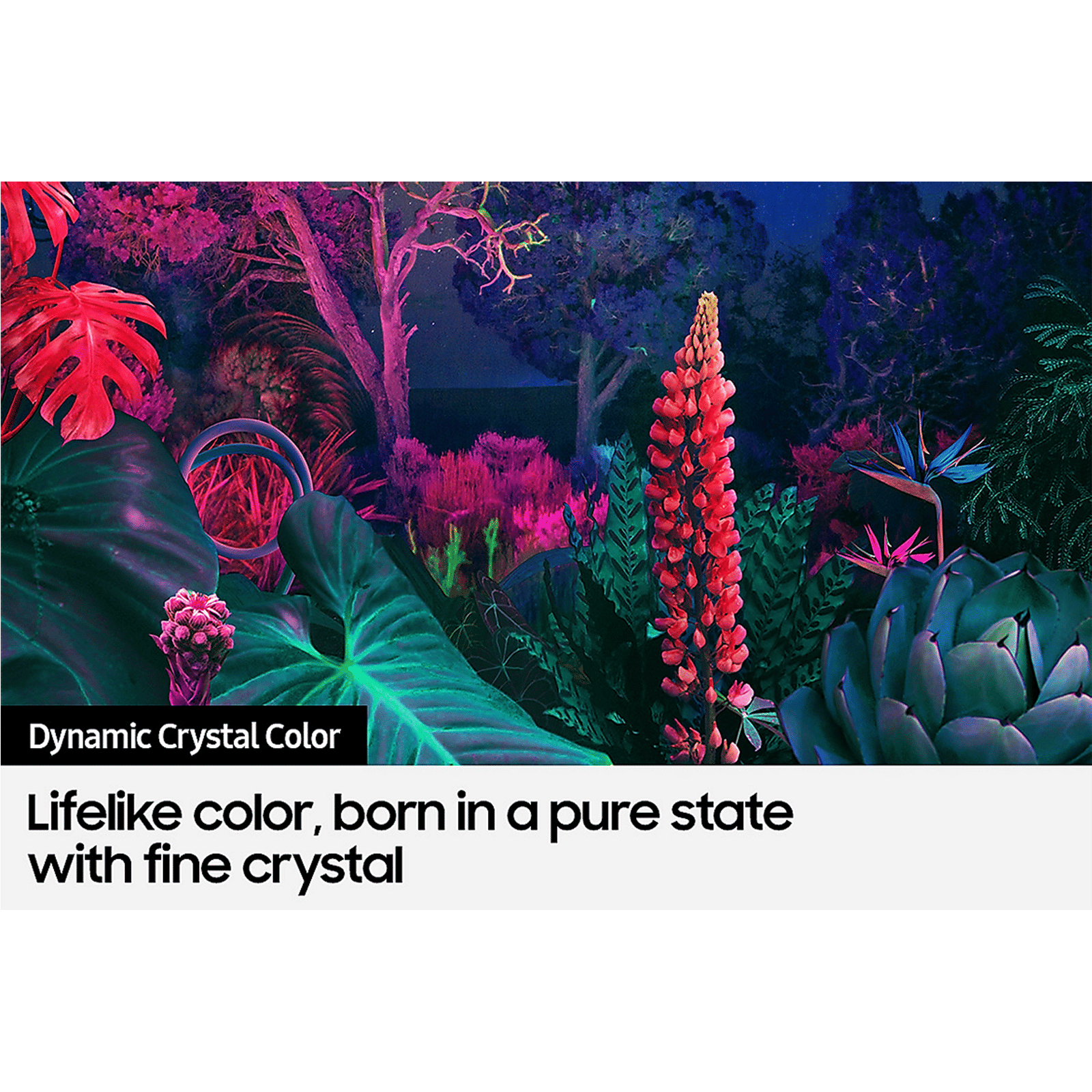 SAMSUNG Series 8 125 cm (50 inch) 4K Ultra HD LED Tizen TV with Alexa Compatibility SAMSUNG Series 8 125 cm (50 inch) 4K Ultra HD LED Tizen TV with Alexa Compatibility_13