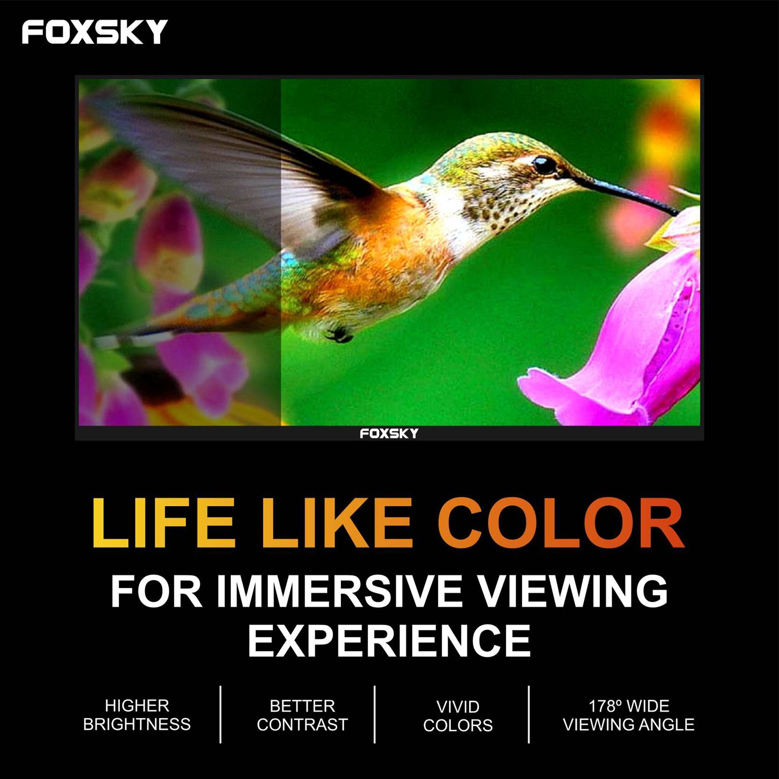 FOXSKY FSFHS 100 cm (40 inch) Full HD LED Smart Android TV with Stereo Speakers (2022 model)_12