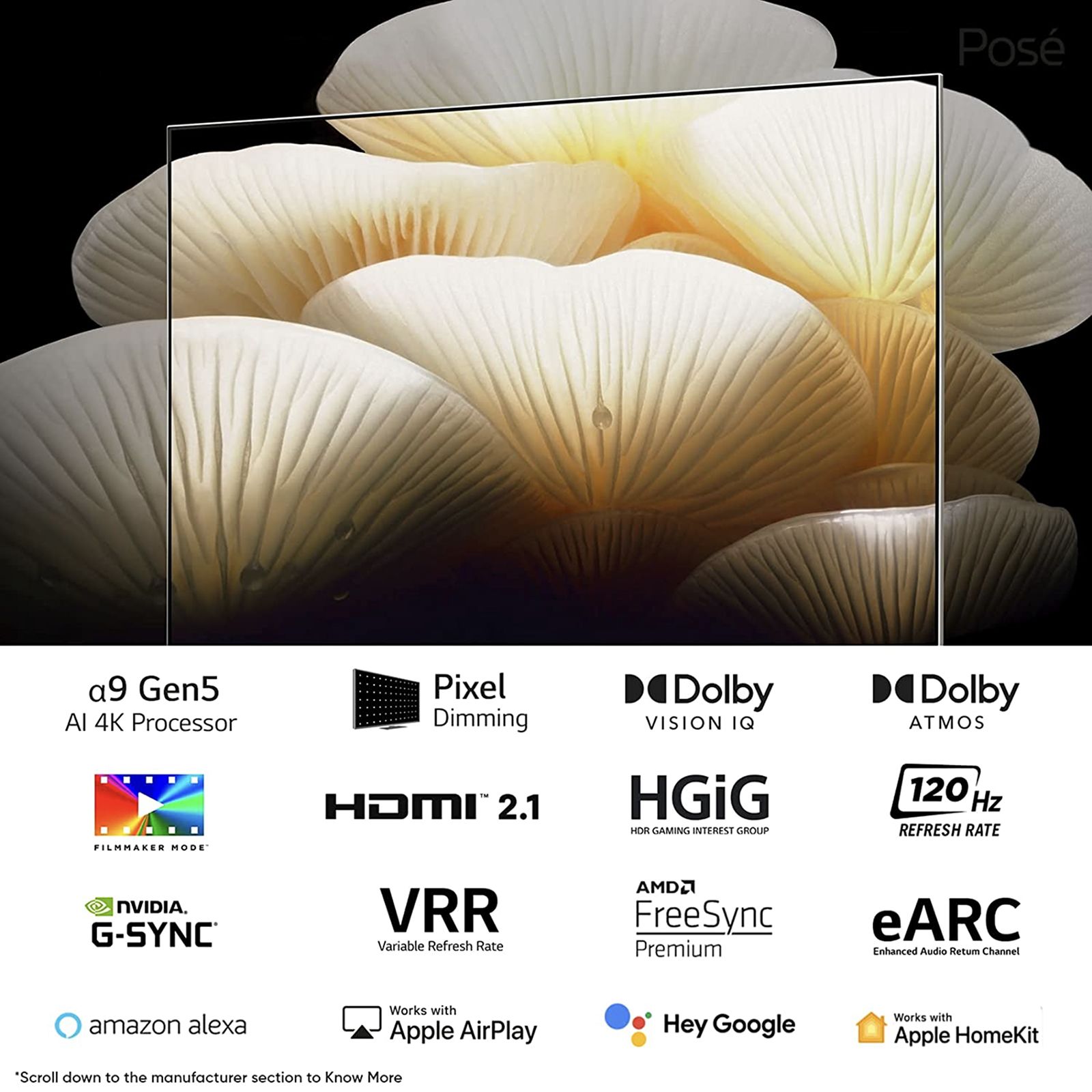 LG LX1 140 cm (55 inch) OLED 4K Ultra HD WebOS TV with Dolby Vision & Dolby Atmos (2022 model)_13