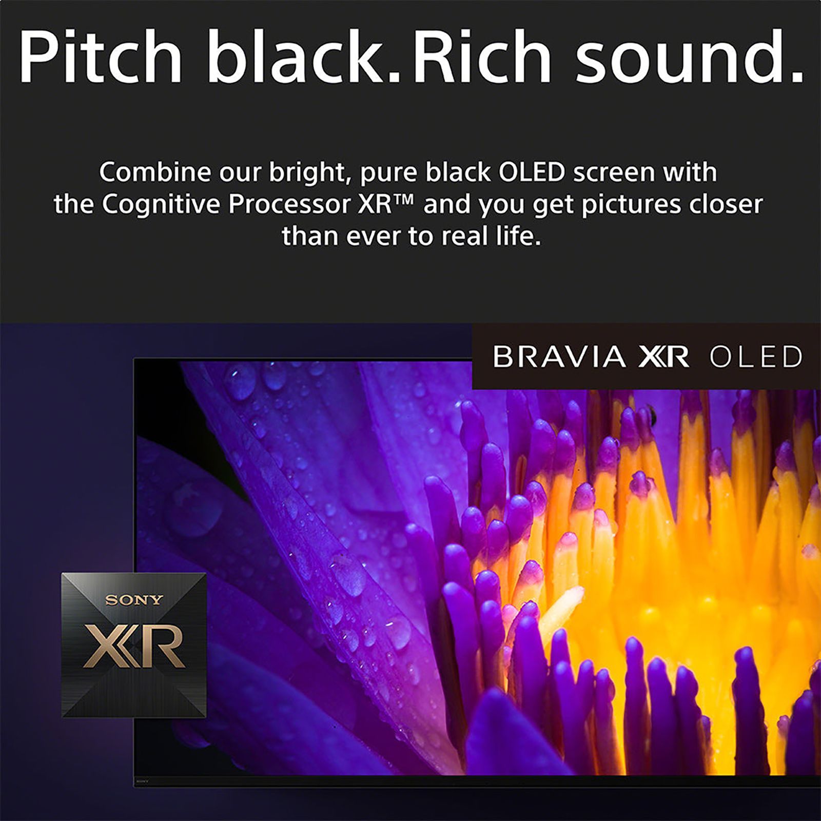 SONY Bravia 165 cm (65 inch) OLED 4K Ultra HD Google TV with Cognitive Processor XR (2023 model)_17