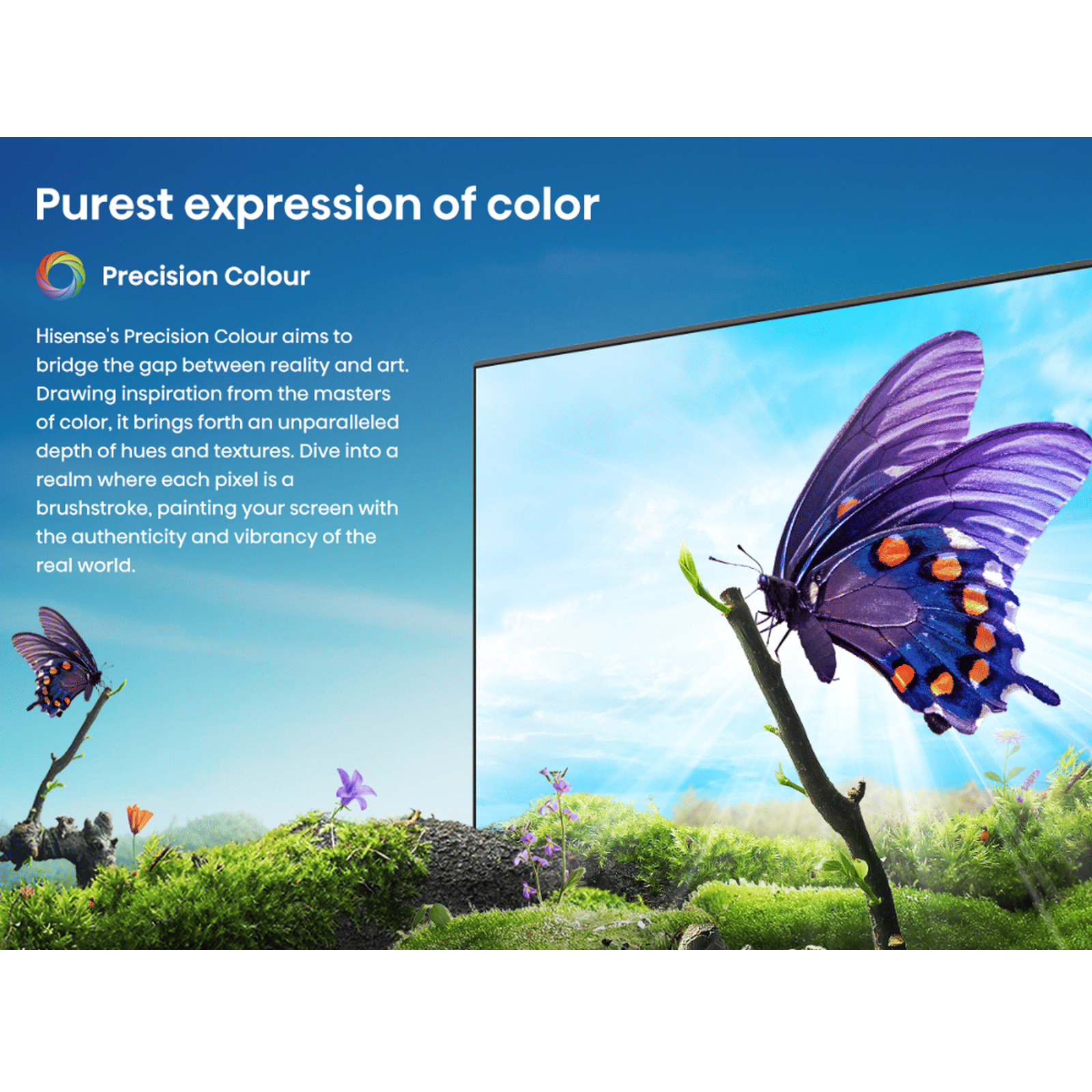 Hisense A65N 140 cm (55 inch) LED 4K Ultra HD Google TV with Dolby Vision & Dolby Digital (2024 model)_12