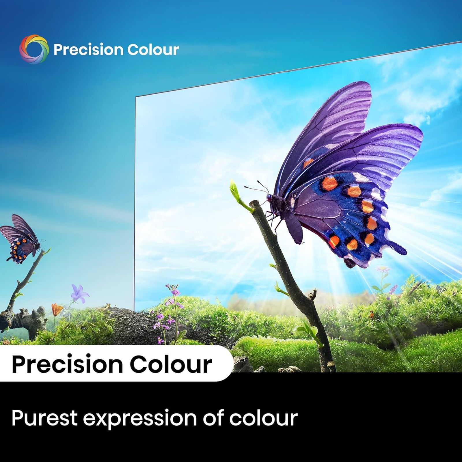 Hisense E6N 165 cm (65 inch) 4K Ultra HD LED Smart Google TV with 4K AI Upscaler (2024 model)_15