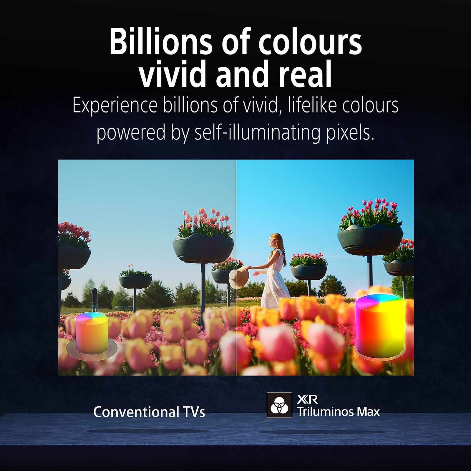 SONY BRAVIA 8 II 140 cm (55 inch) 2 Star OLED 4K Ultra HD Smart Google TV with Dolby Vision & Dolby Atmos (2025 model) SONY BRAVIA 8 II 140 cm (55 inch) 2 Star OLED 4K Ultra HD Smart Google TV with Dolby Vision & Dolby Atmos (2025 model)_11