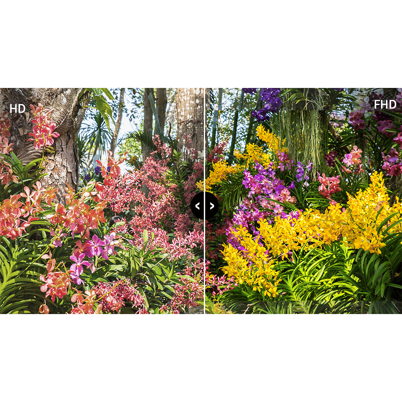 Samsung F5600F 108 cm (43 inch) 5 Star Full HD LED Smart Tizen TV with Q-Symphony (2026 model) Samsung F5600F 108 cm (43 inch) 5 Star Full HD LED Smart Tizen TV with Q-Symphony (2026 model)_8