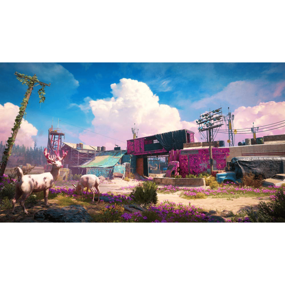 PS4 Game (Far Cry New Dawn)_5