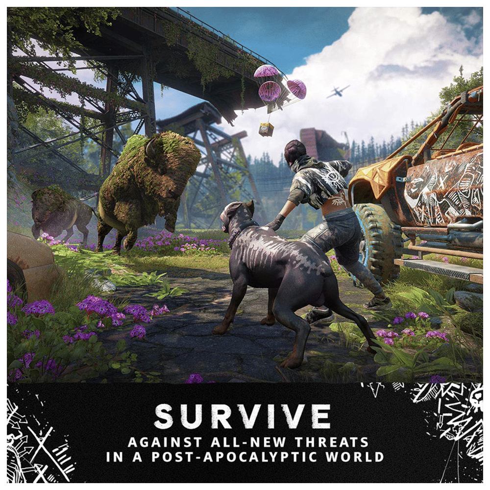 PS4 Game (Far Cry New Dawn)_2