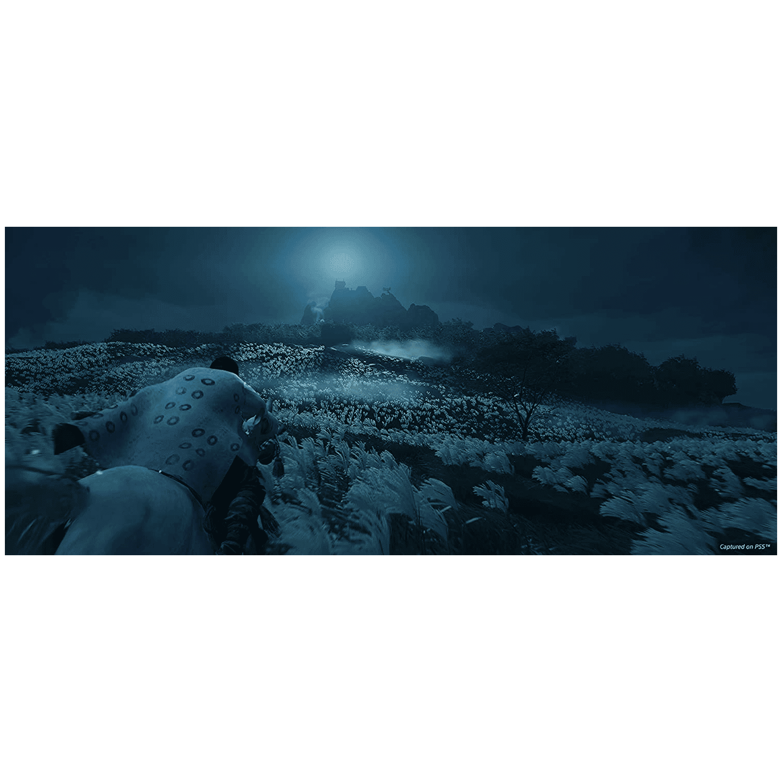 SONY Ghost of Tsushima Director's Cut Edition For PS5 (Action-Adventure Games, Standard Edition, 50668518) SONY Ghost of Tsushima Director's Cut Edition For PS5 (Action-Adventure Games, Standard Edition, 50668518)_3