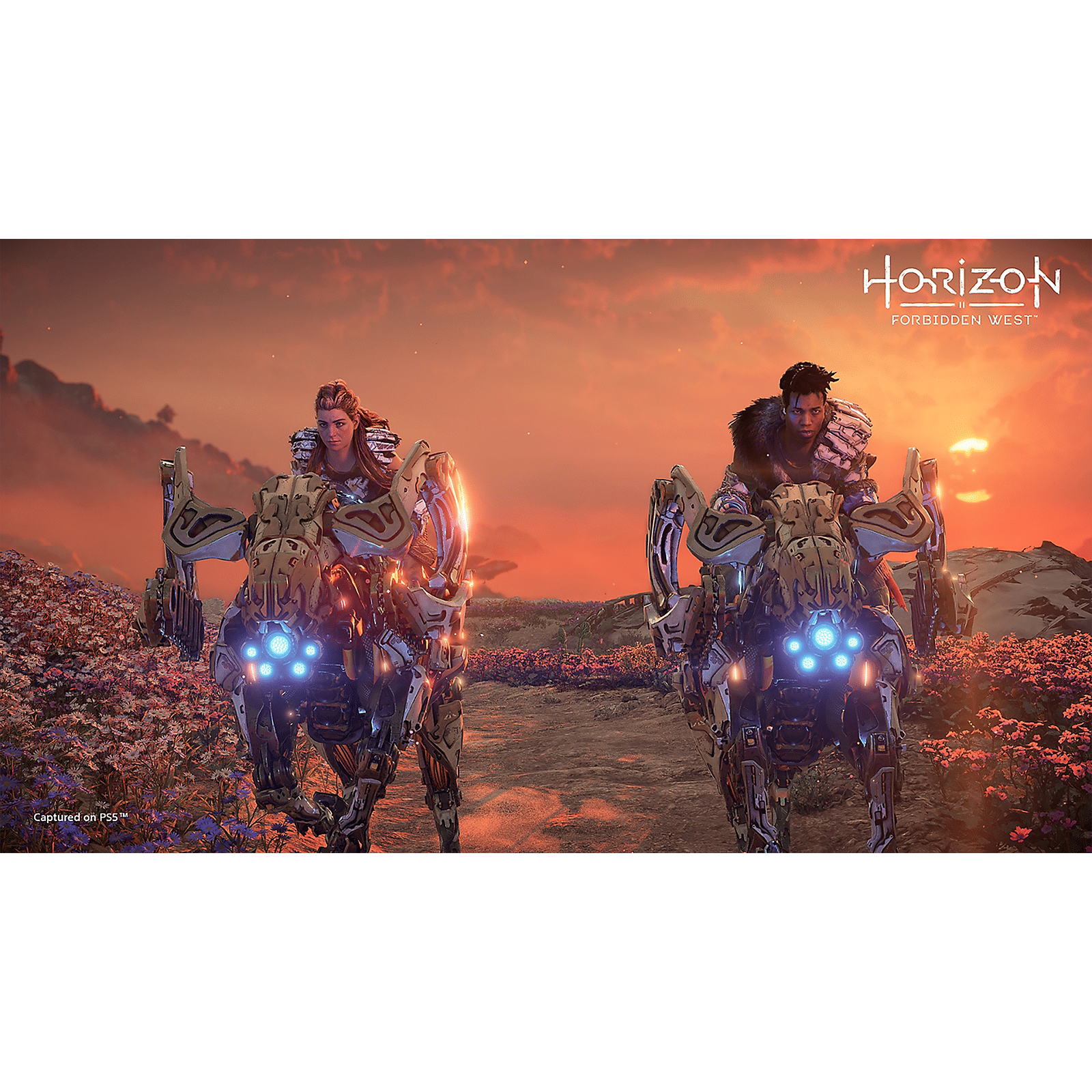 SONY Horizon Forbidden West For PS5 (Action and Adventure Games, Standard Edition, 50668464)_8