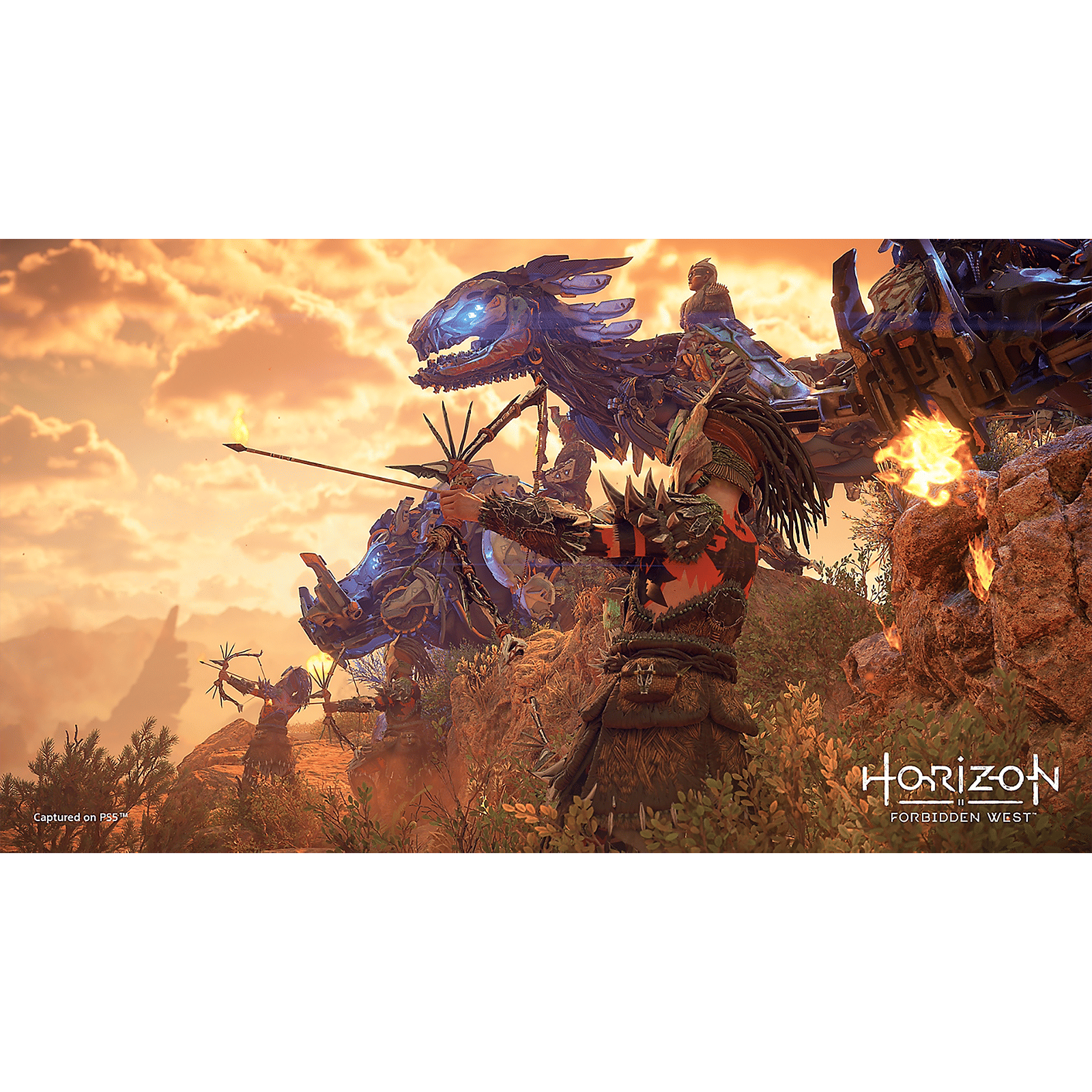 SONY Horizon Forbidden West For PS5 (Action and Adventure Games, Standard Edition, 50668464)_5