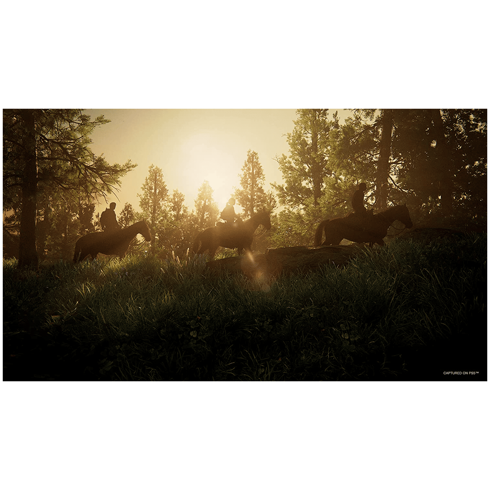 SONY The Last Of Us Part 1 For PS5 (Action-Adventure Game, 50668583, Standard Edition) SONY The Last Of Us Part 1 For PS5 (Action-Adventure Game, 50668583, Standard Edition)_5